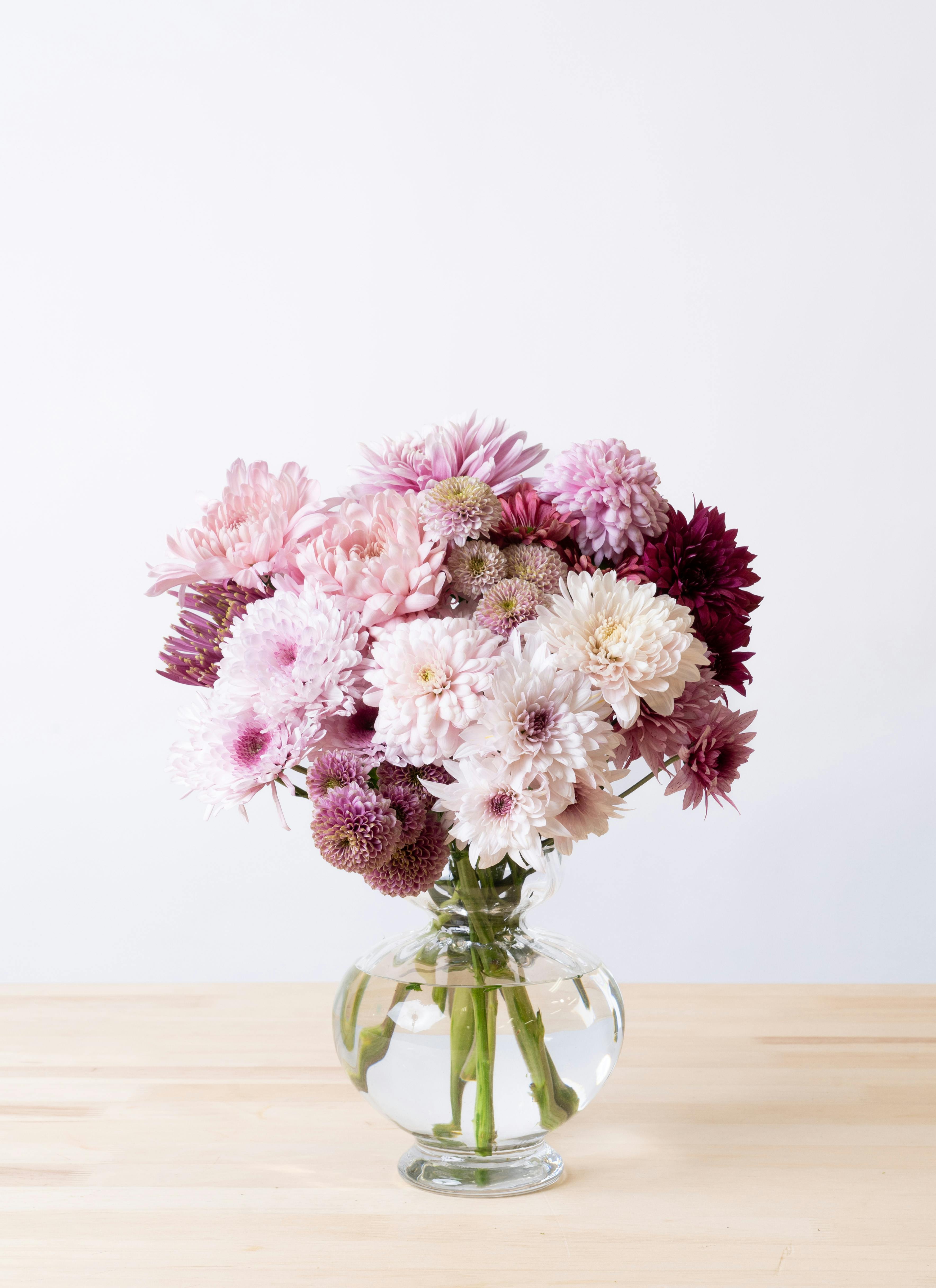 ぽんぽん咲き！花束のようなかわいいマム　16 i 現品発送致します ぽんぽん咲き！花束のようなかわいいマム 16 i 現品発送致します - 花