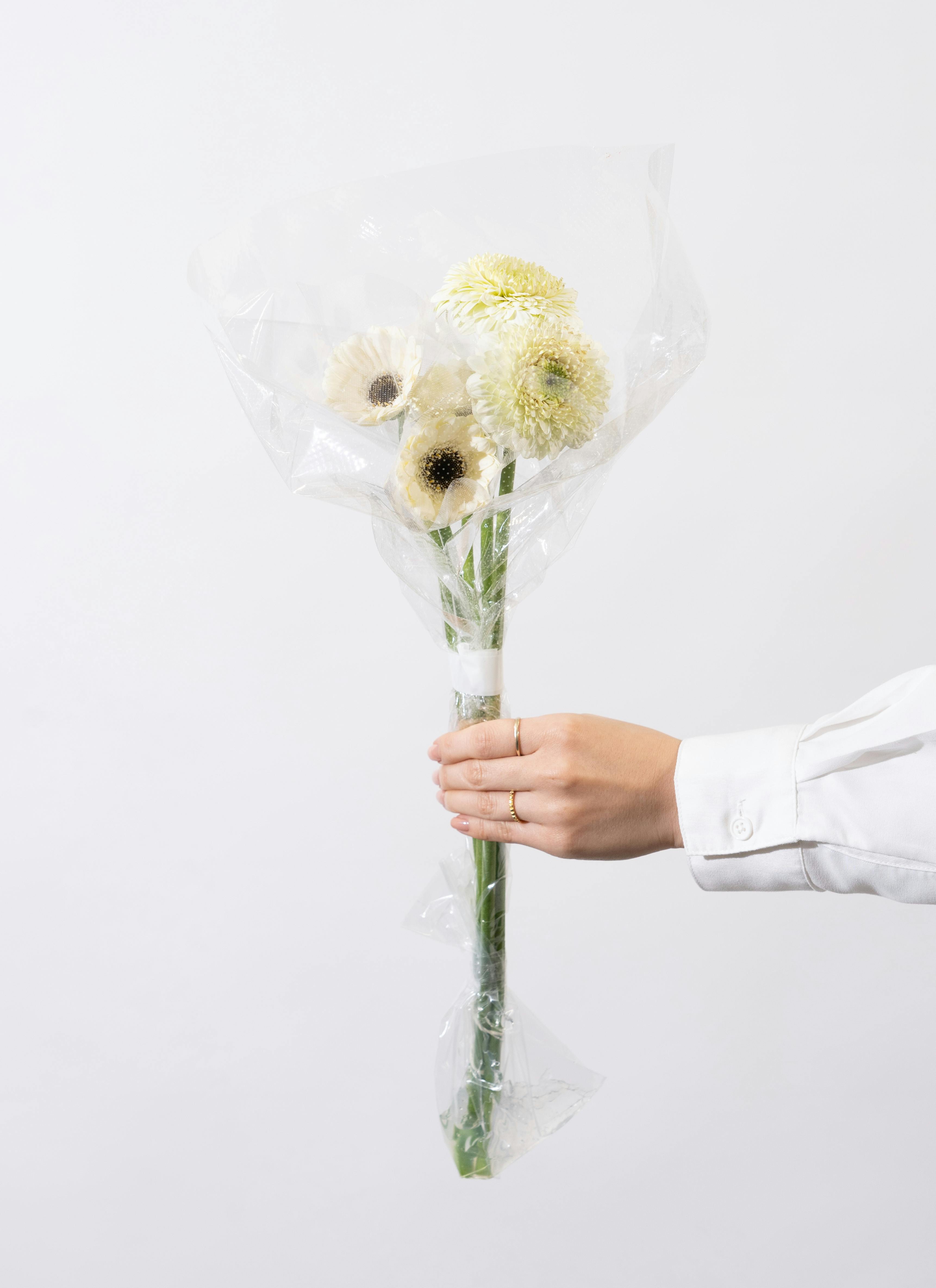 産地直送 ガーベラ ホワイト 5本花束／静岡 松下園芸からお届け | 花束 