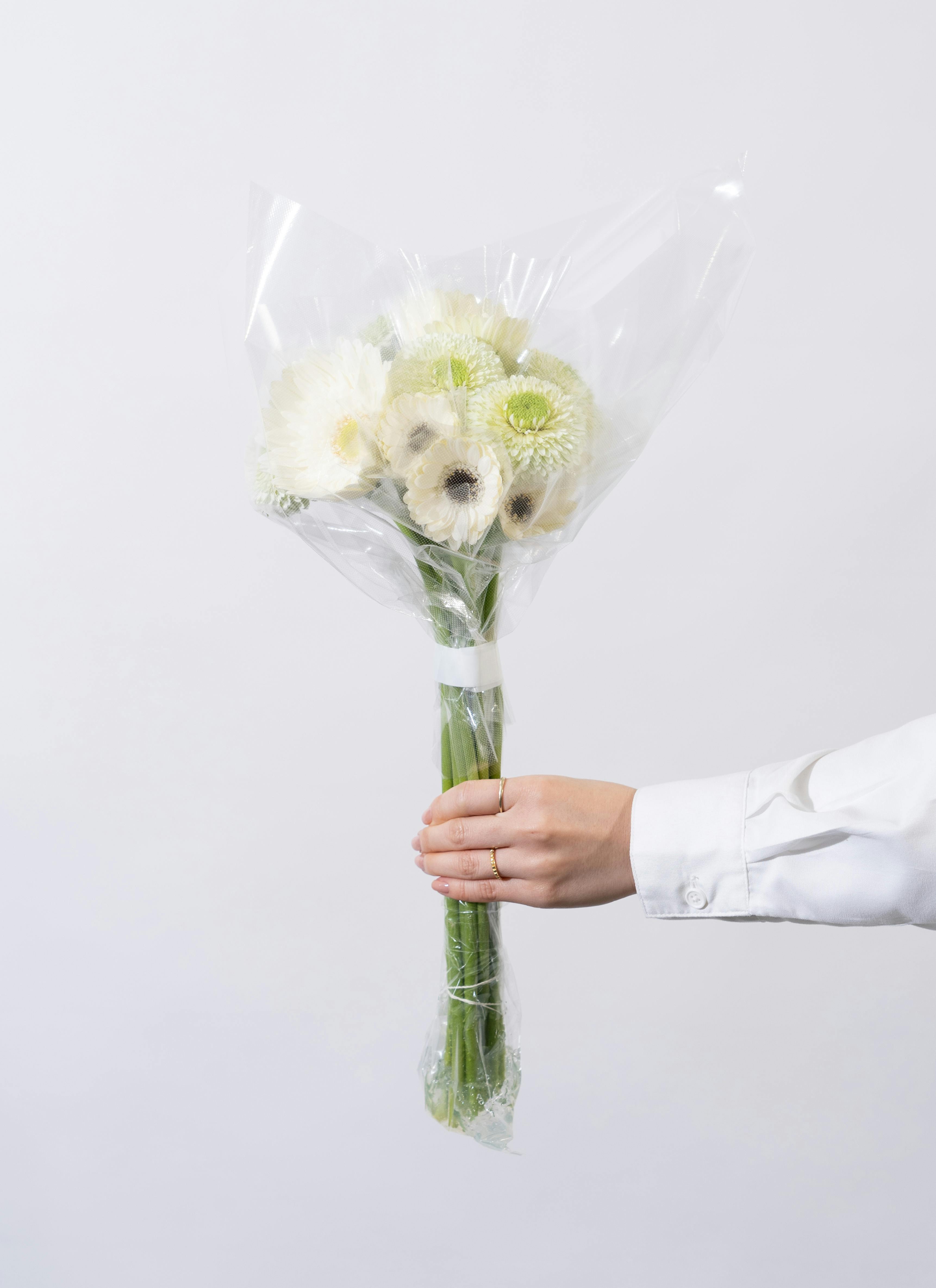 産地直送 ガーベラ ホワイト 15本花束／静岡 松下園芸からお届け 