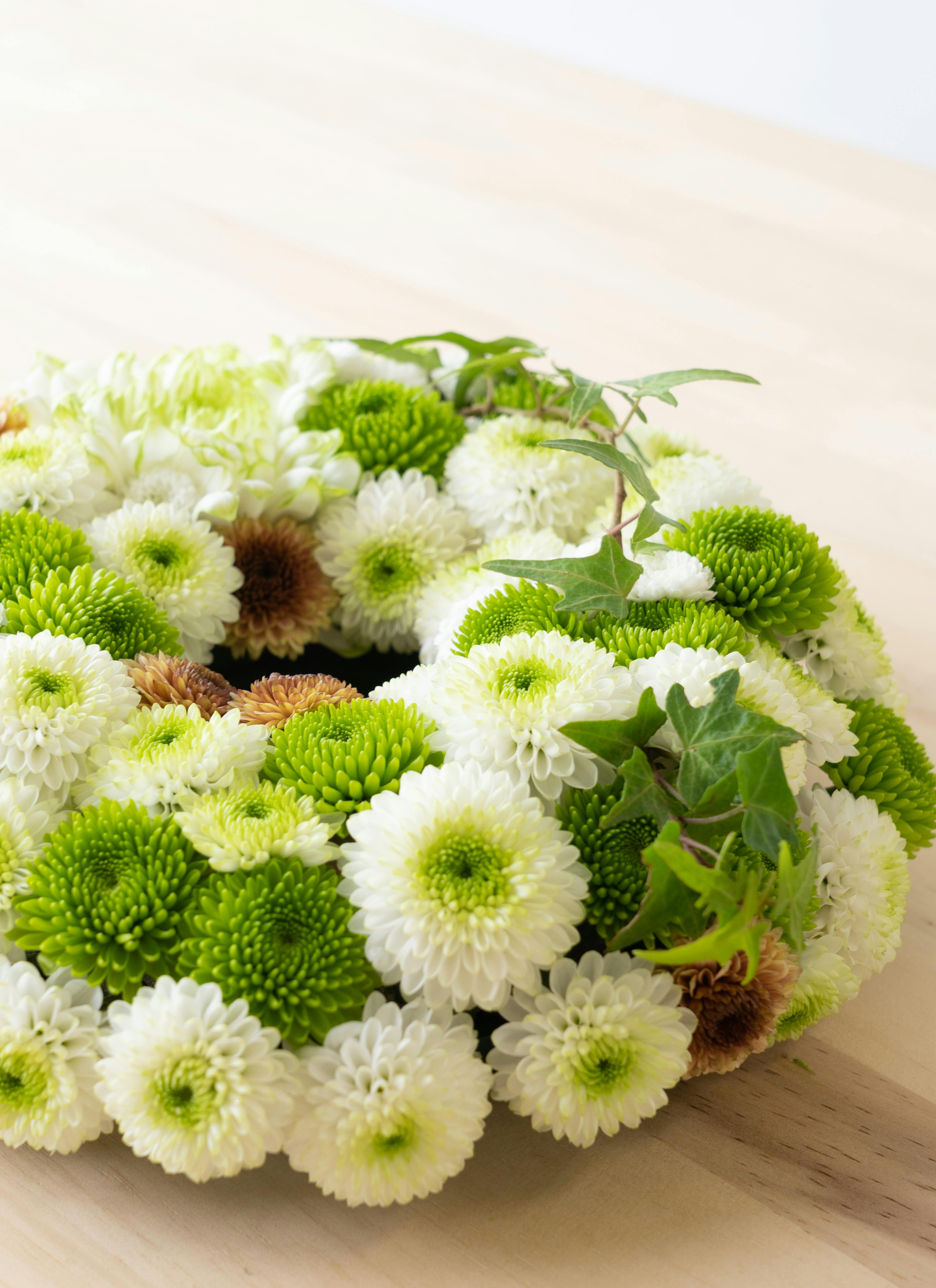 産地直送 マムリース ホワイト＆グリーン S／愛知 ジャパンフラワー