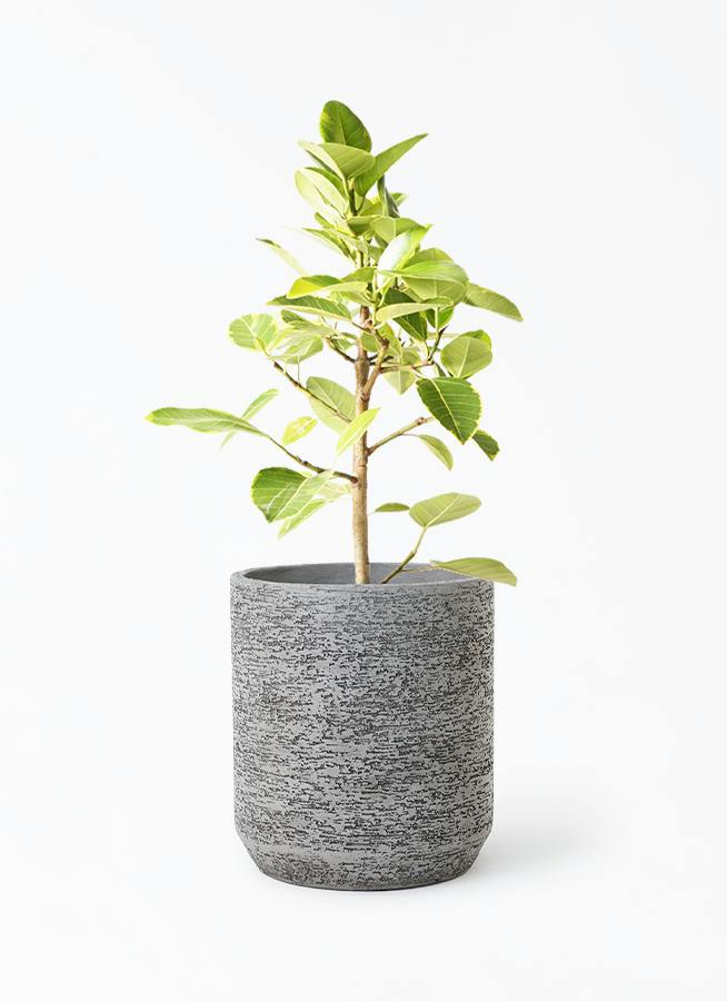 鉢カバー グレー 8号 | 観葉植物の鉢ならHitoHana