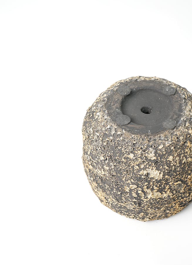 鉢カバー・植木鉢 Coral Pot (コーラルポット) 3号鉢用 ブラック #stem