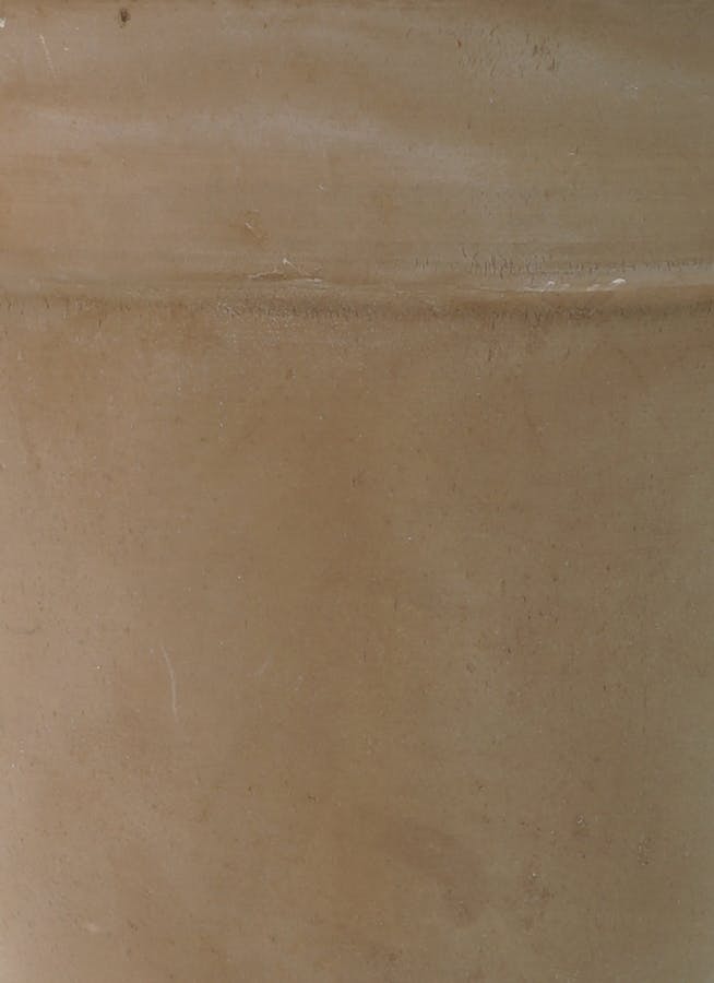 cappuccino-m-1_1.jpg?1678151320