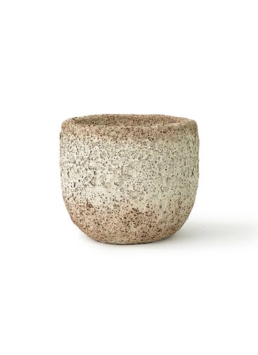 鉢カバー Coral Pot (コーラルポット) 6号鉢用 ホワイト #stem C0301