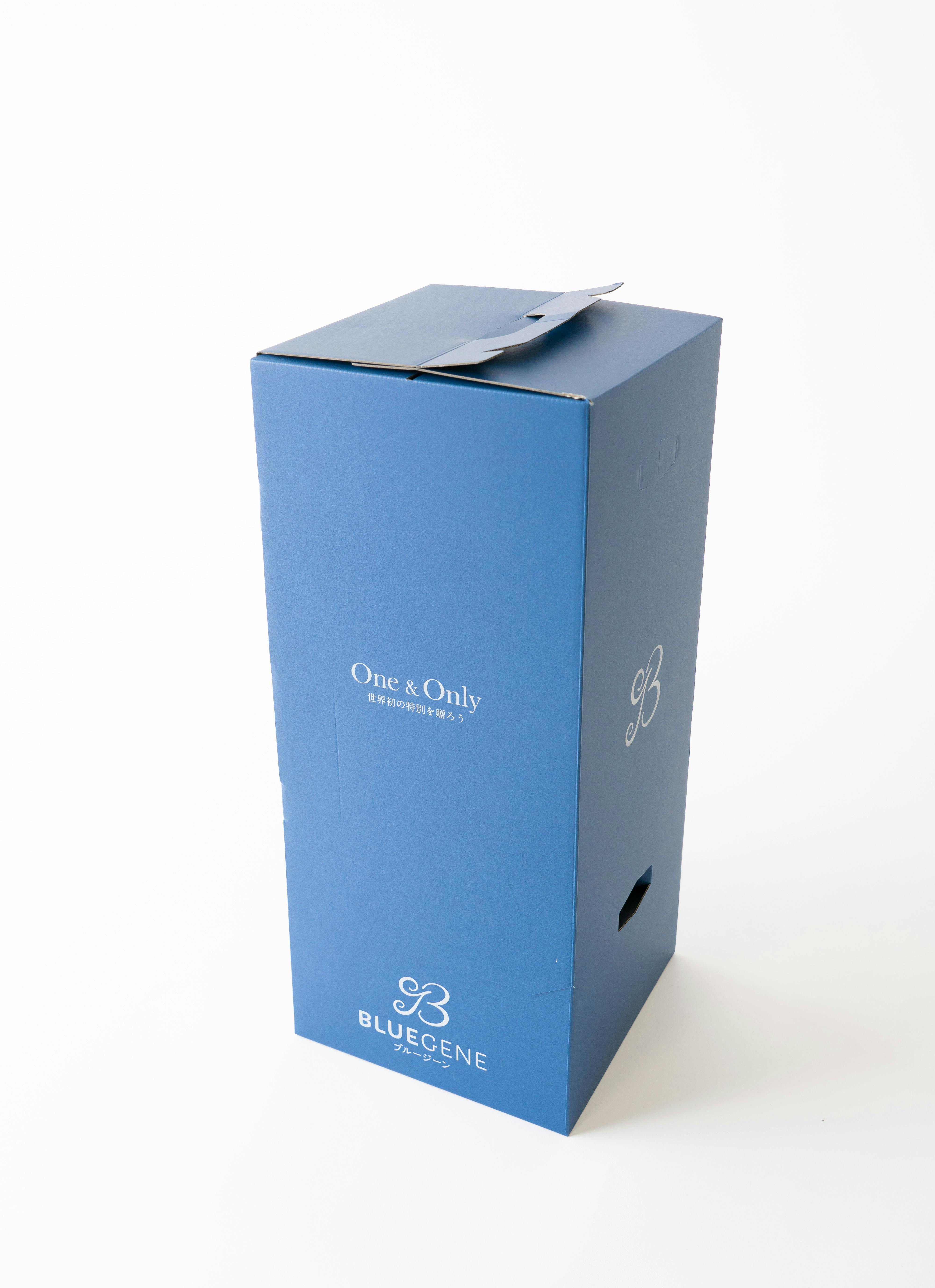 現品❗️超希少❗️胡蝶蘭❤️ブルージーン　1本立 bluegene-1_9901.jpg?1679634950