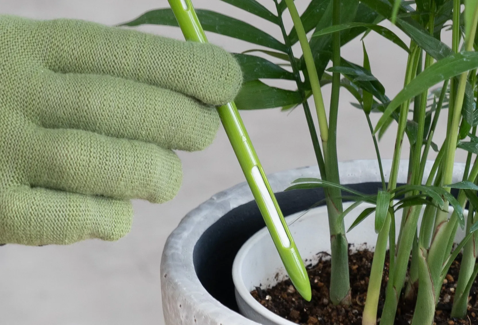 観葉 植物 水 やり チェッカー