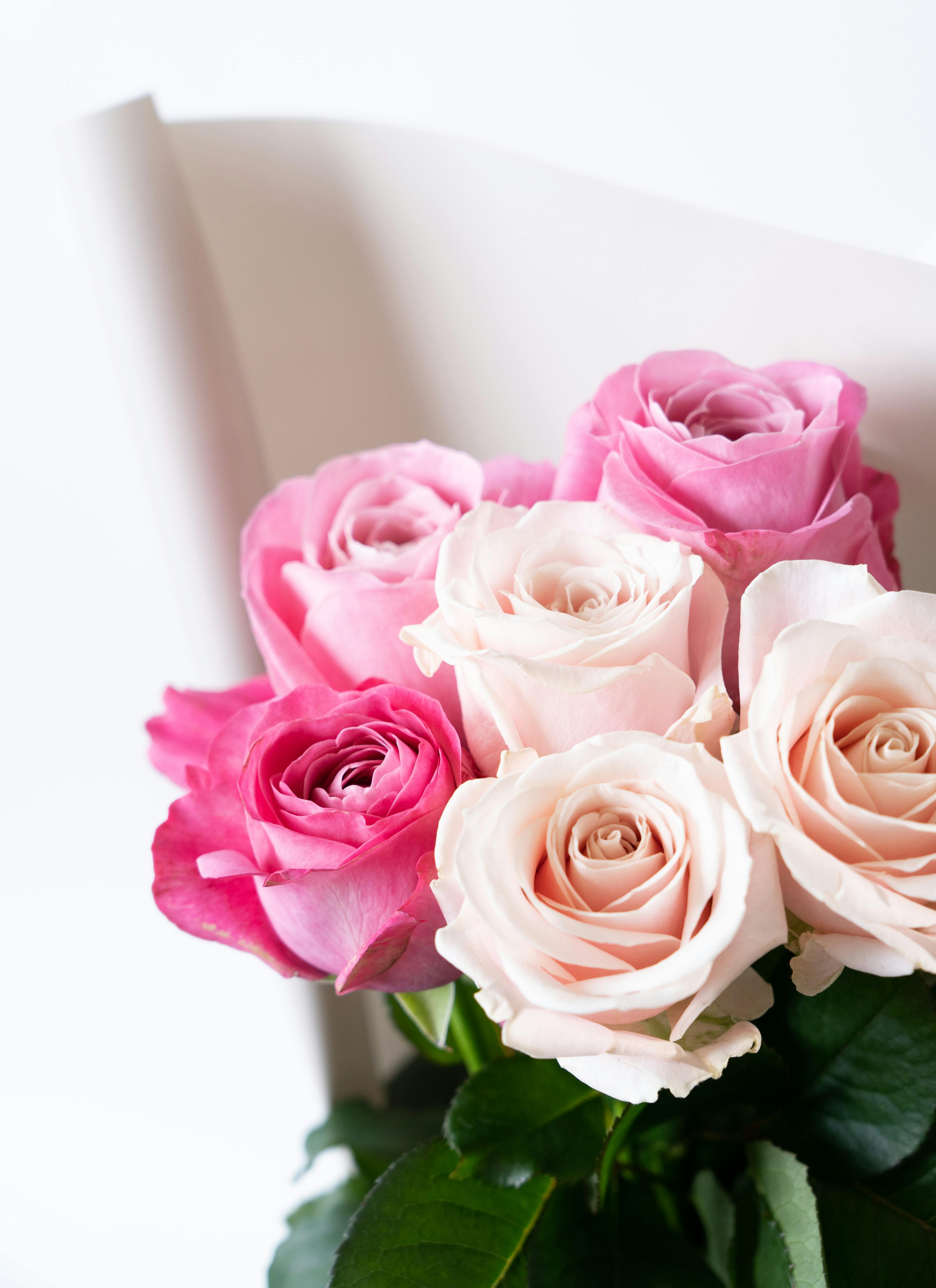 薔薇　ホワイト　ピンク　バラ　トルコキキョウ　生花　ブーケ　花束　ローズ