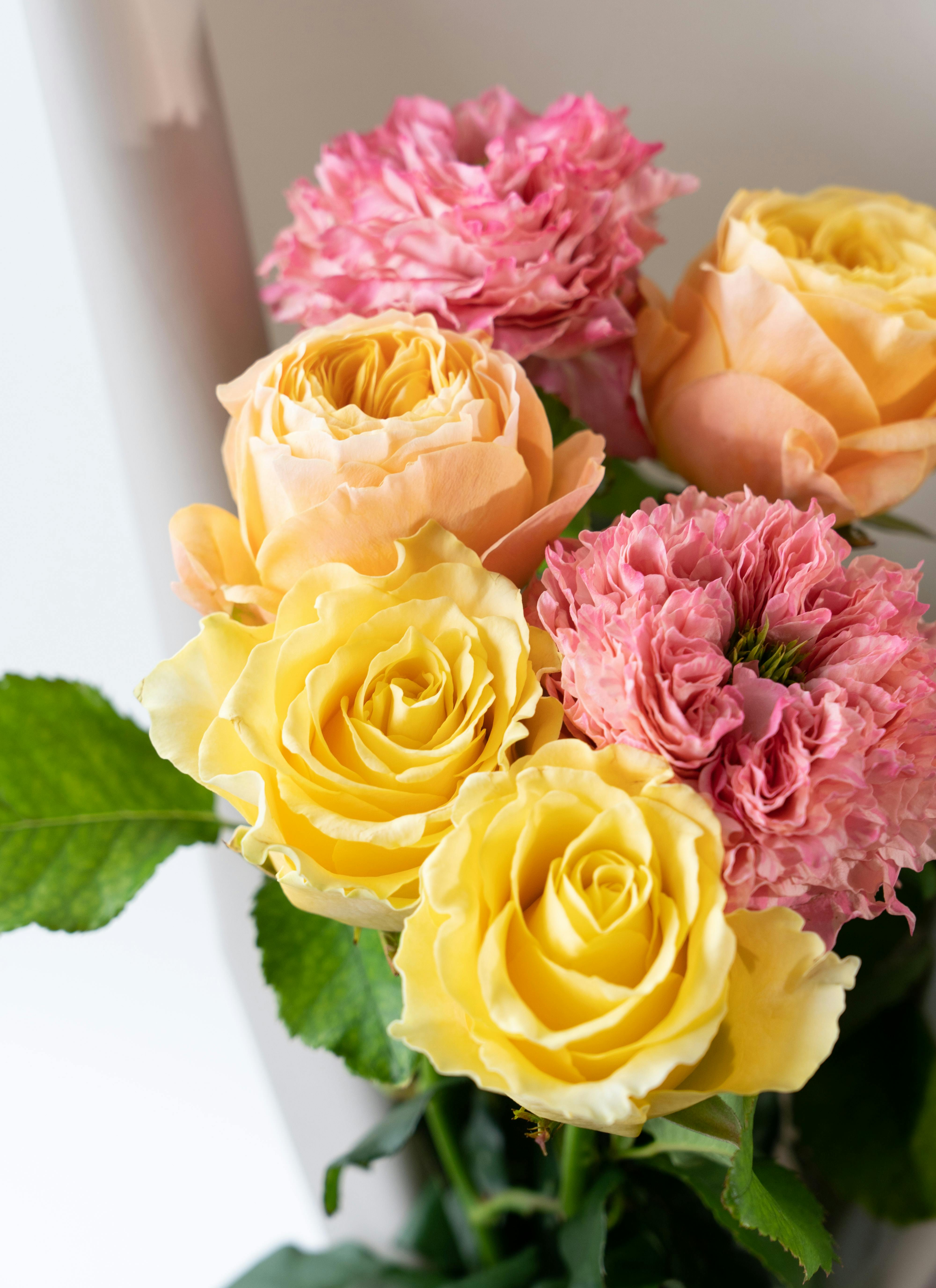 薔薇のリース。ばら園です。 薔薇のリースM | ichirin's STORE