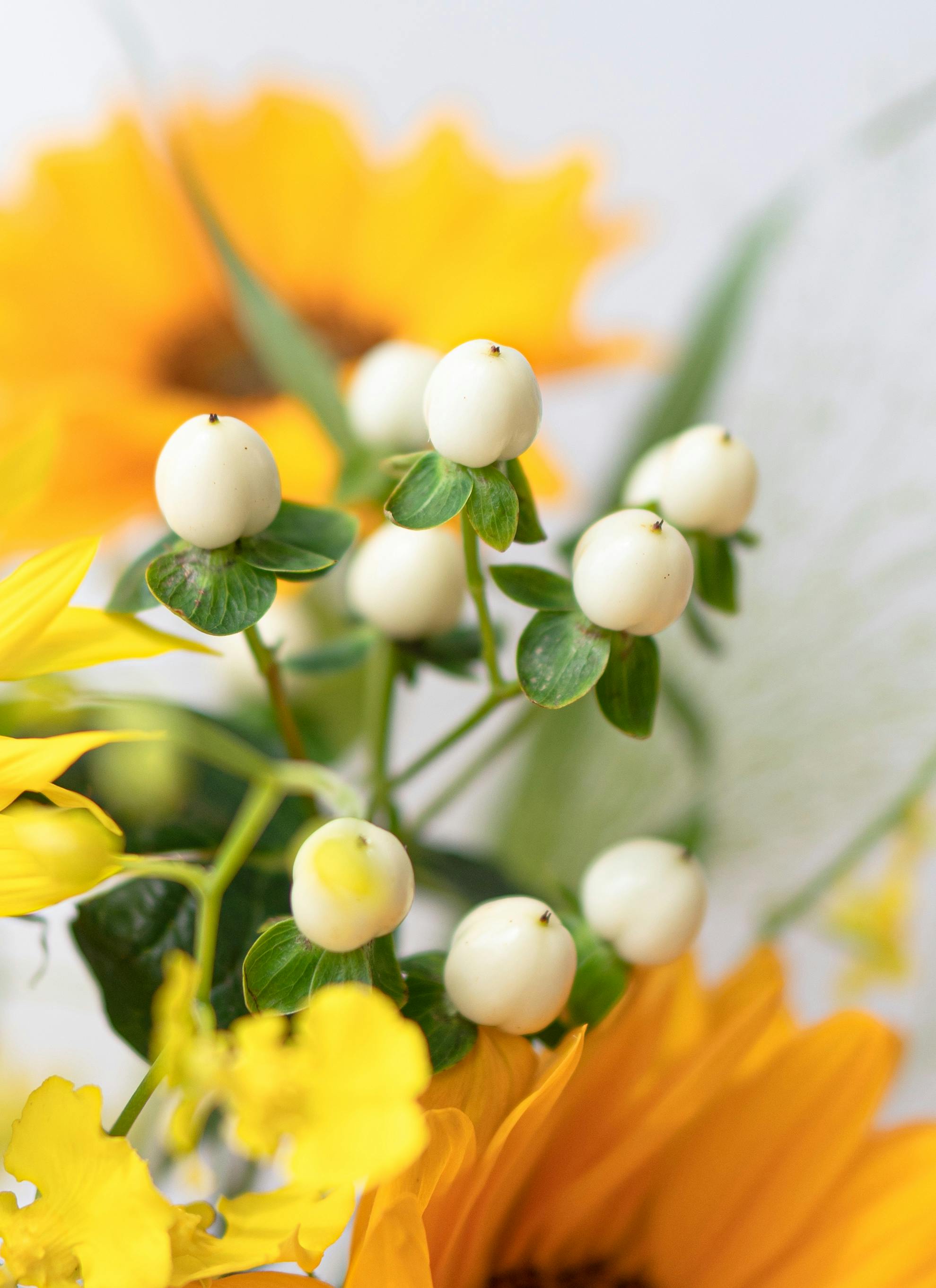 カジュアルブーケ 飾る楽しさいろいろ 夏の花束（ひまわり） | 花束