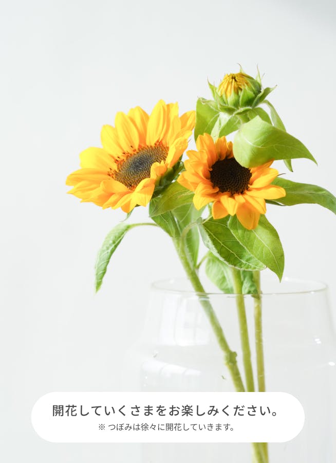 ひまわり Amazon｜siawadeky 造花 インテリア ひまわり 花束 観葉植物