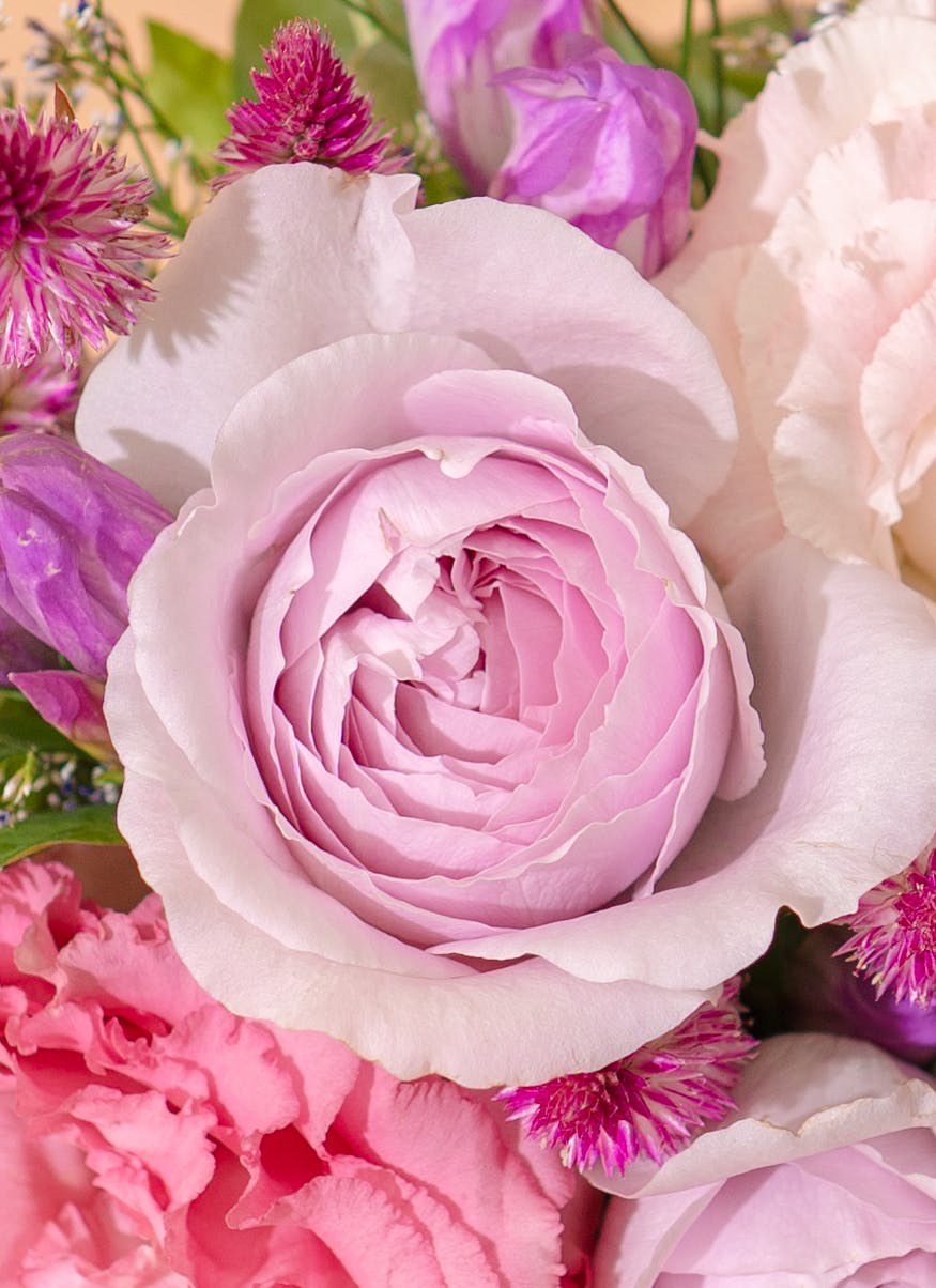 初秋の花束 バラとトルコキキョウのブーケ ピンク S | 花束なら