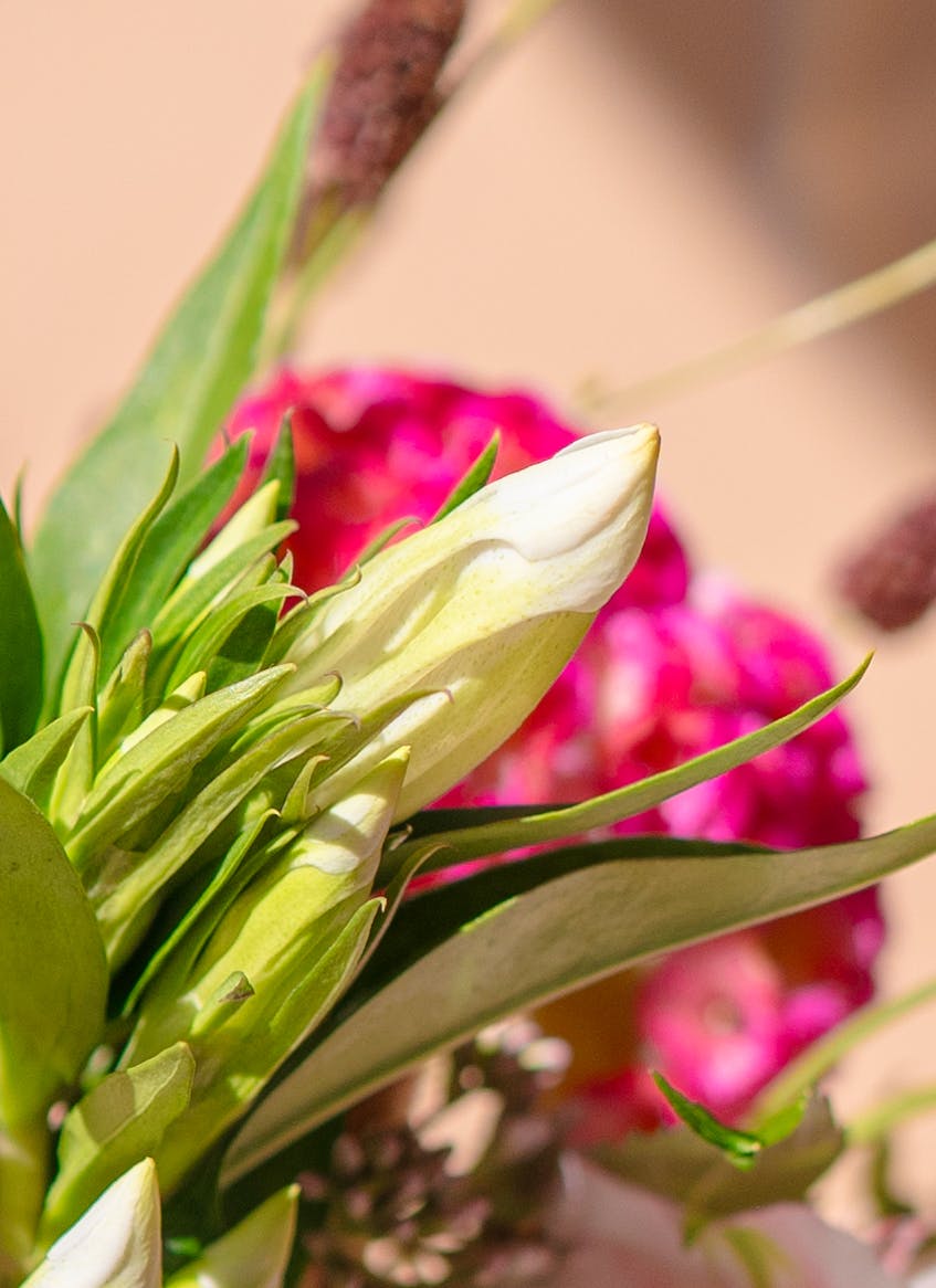 ✨百合生花 ユリ 八重咲き 切り花 アレンジ 花束 プレゼント お供え