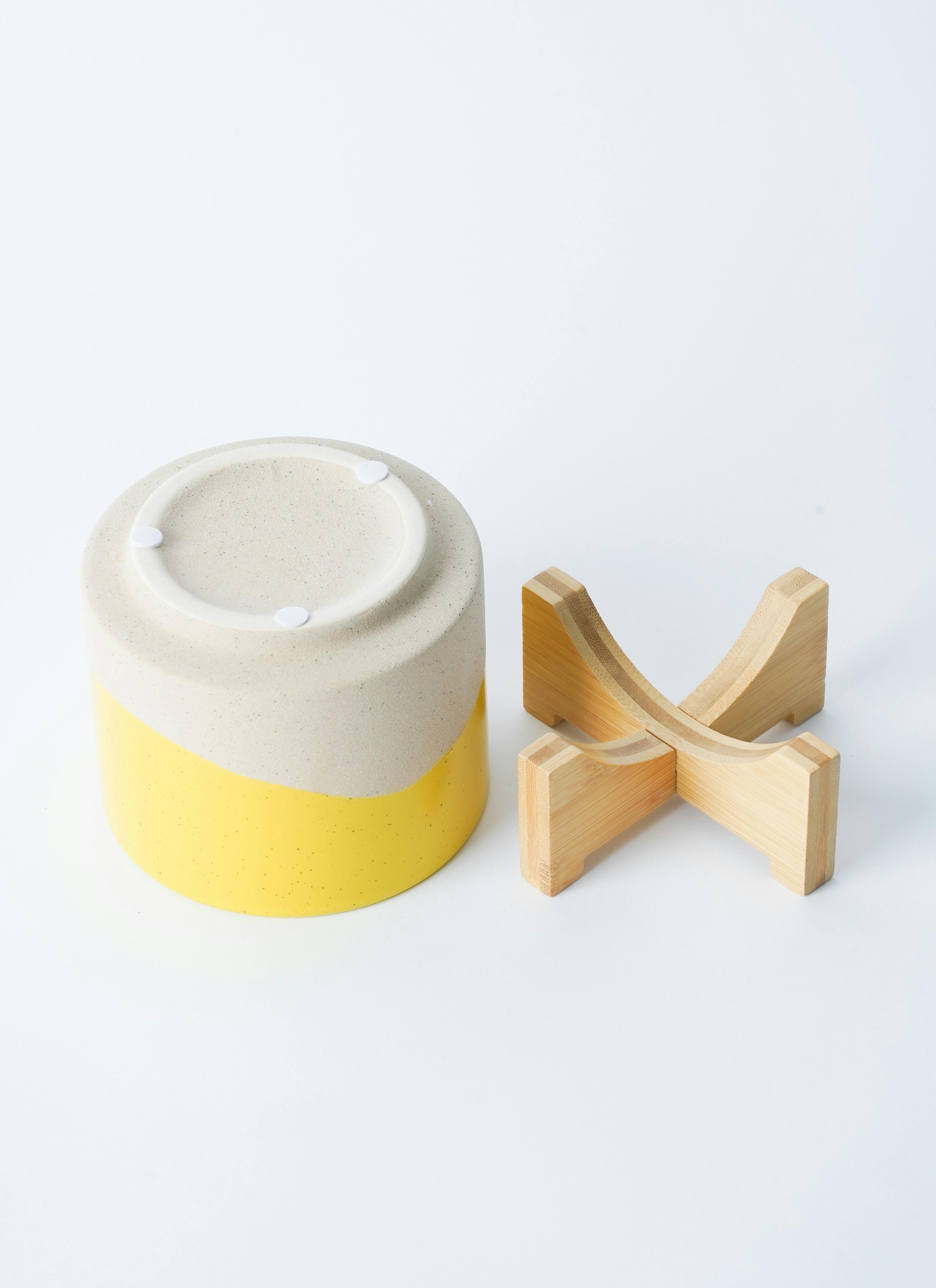 観葉植物 テーブルヤシ 3号 レーナ 15 Y イエロー 付き | 観葉植物なら