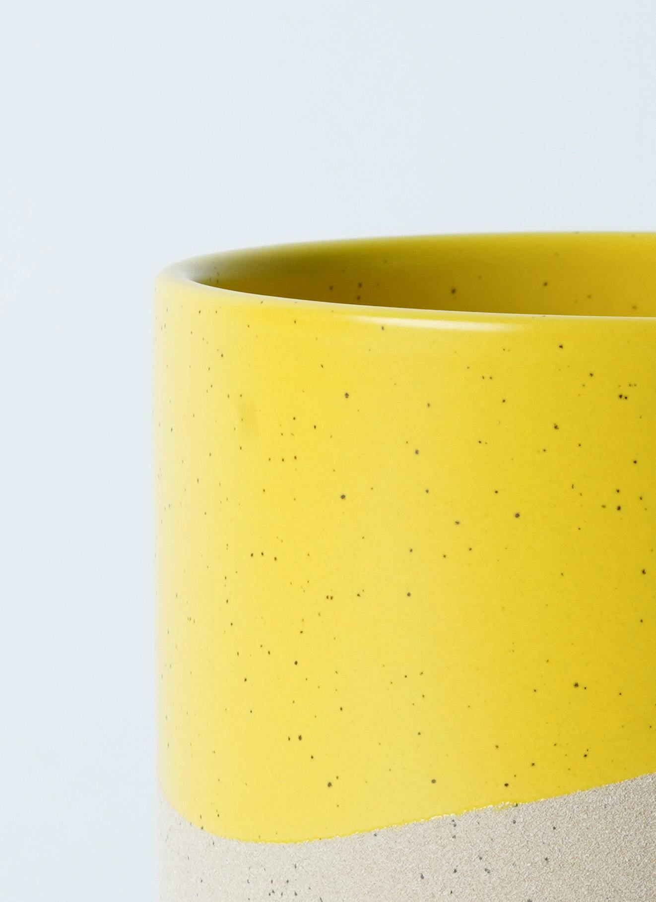 観葉植物 テーブルヤシ 3号 レーナ 15 Y イエロー 付き | 観葉植物なら