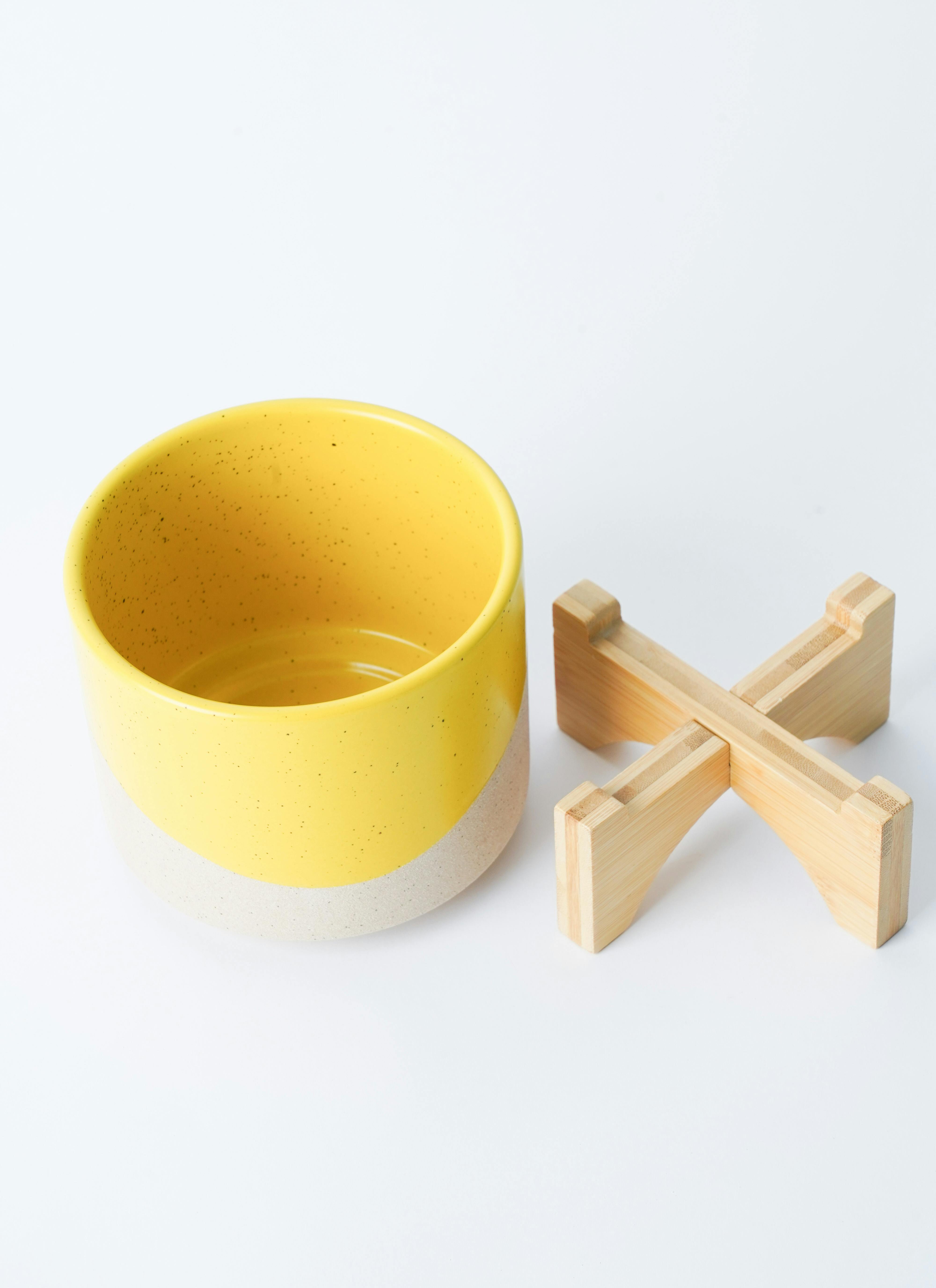 観葉植物 テーブルヤシ 3号 レーナ 15 Y イエロー 付き | 観葉植物なら