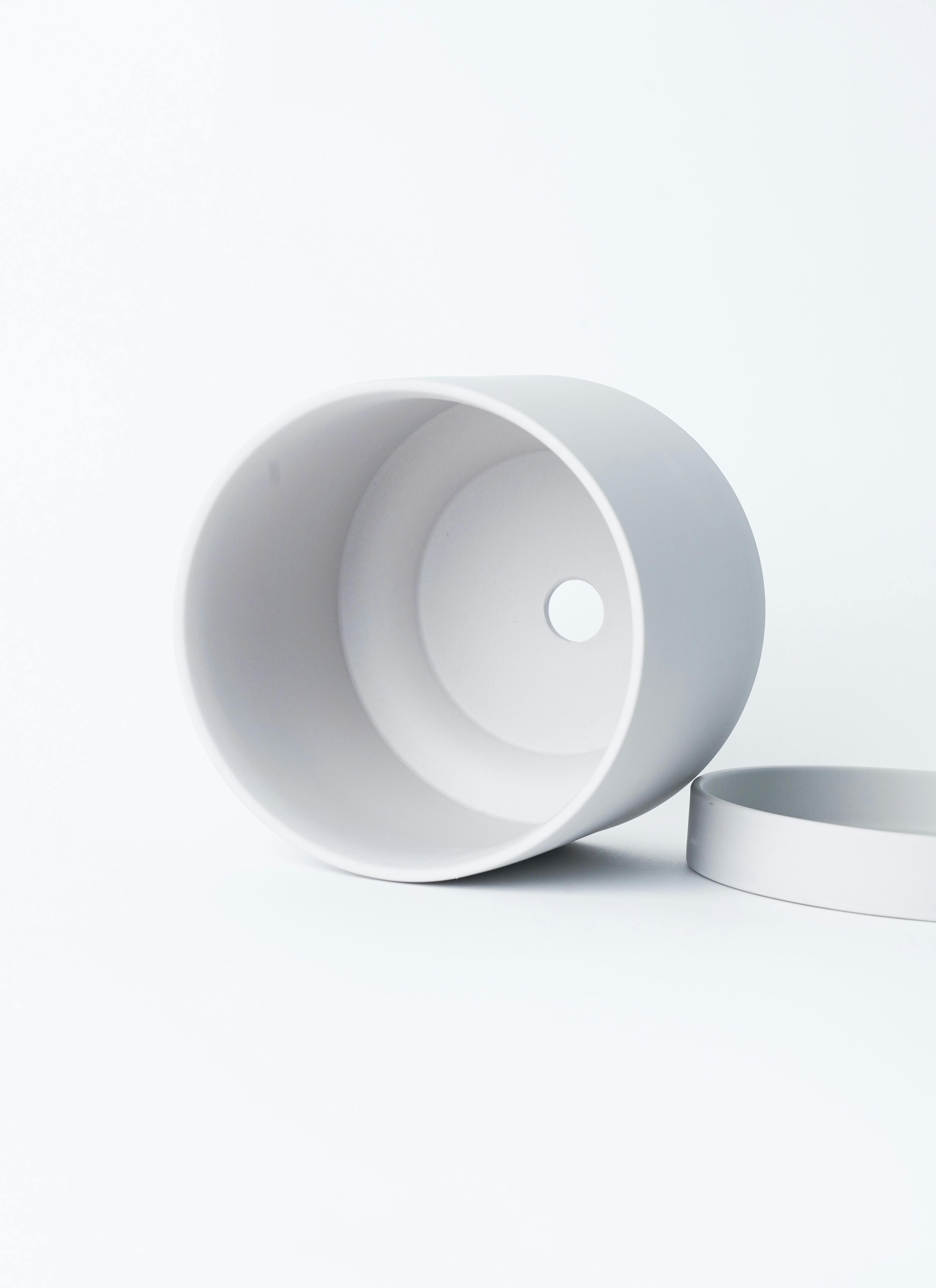 観葉植物 カポック（シェフレラ） 4号 斑入り ルーツ 15 H グレー 付き