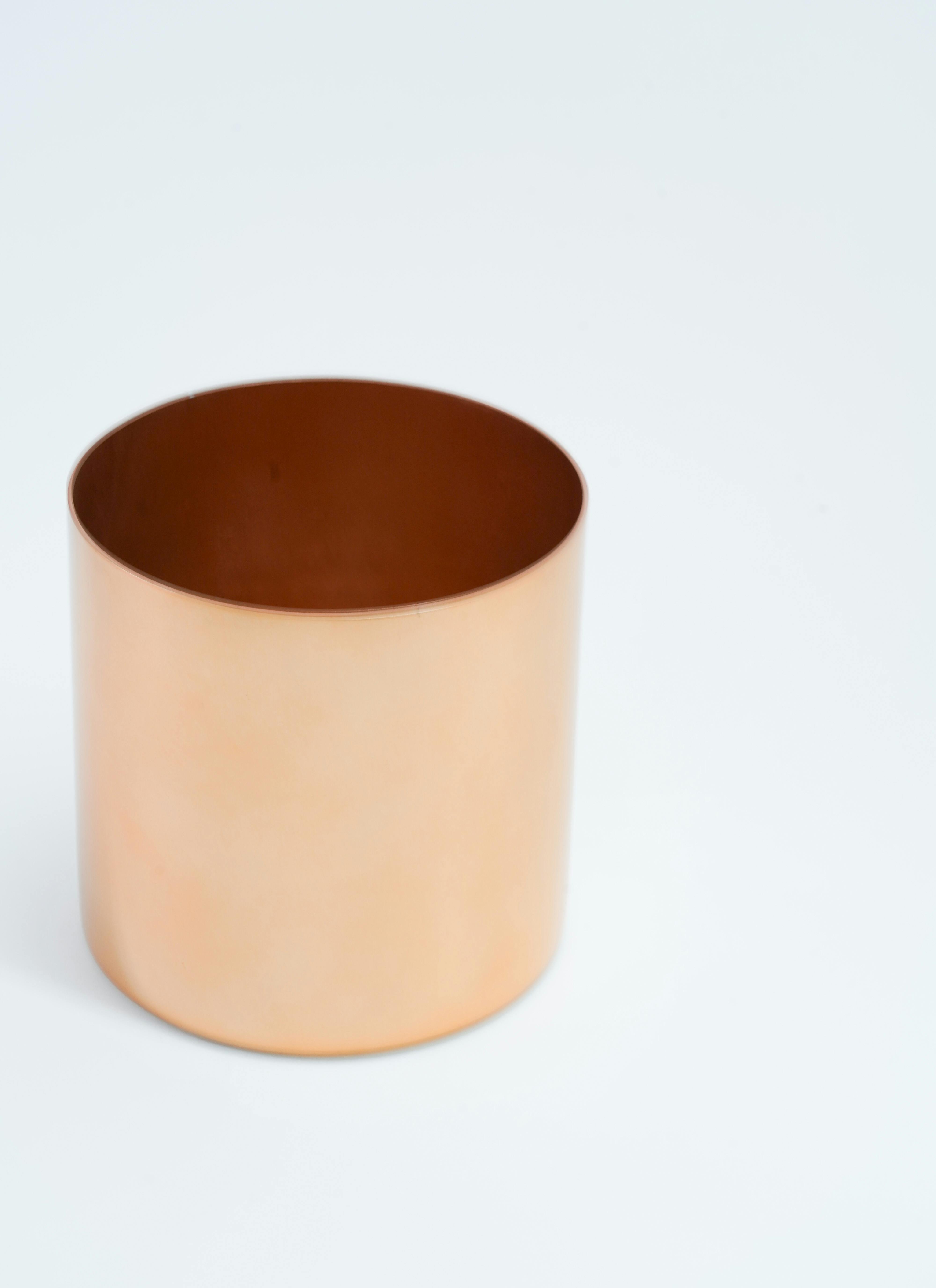 観葉植物 カポック（シェフレラ） 4号 斑入り ラーケルシリンダー 15