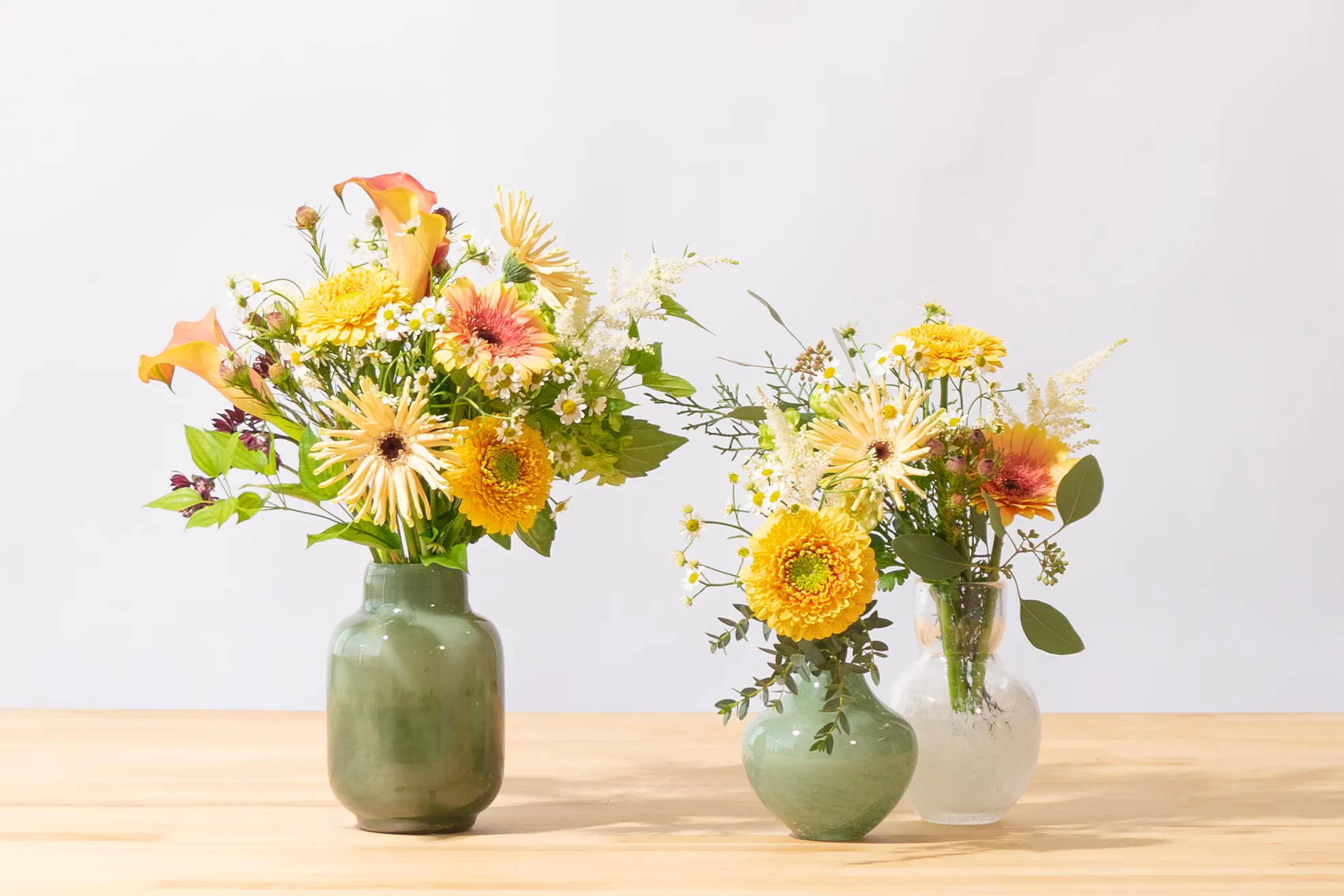 お花の定期便 オプション商品のご紹介 | HitoHana（ひとはな）
