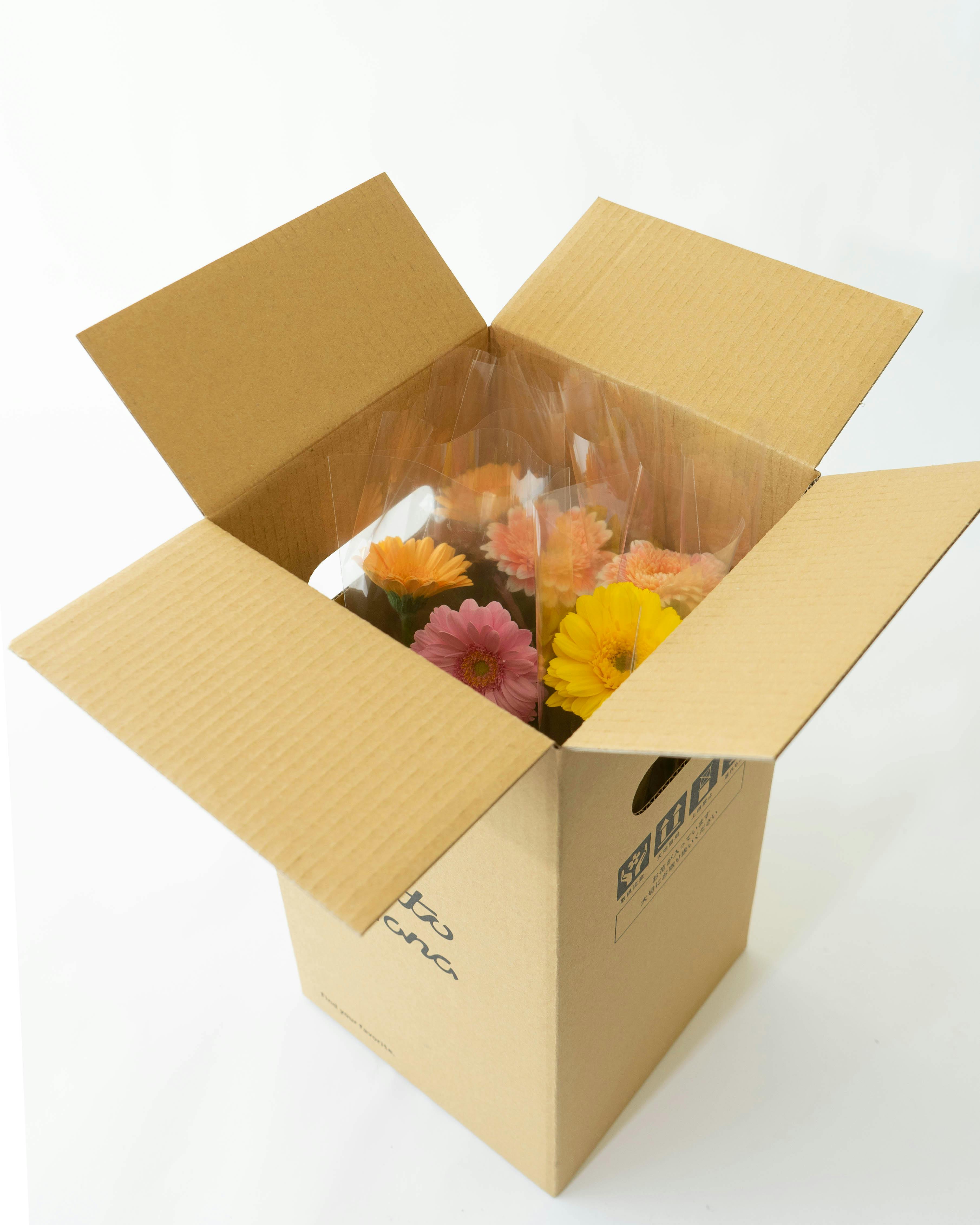 花農家直送！ガーベラおまかせ贅沢ミックス【30本】：福岡県産の