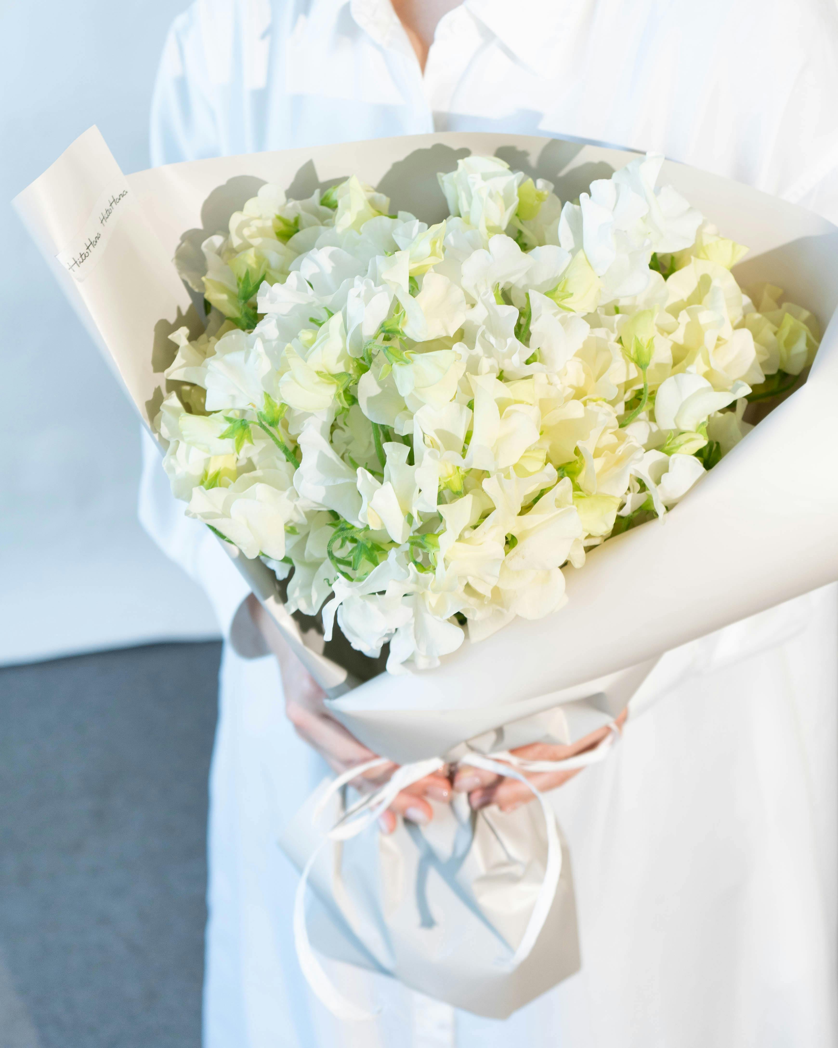 産地直送 スイートピー花束 ホワイトM（50本入り）ギフトラッピング付