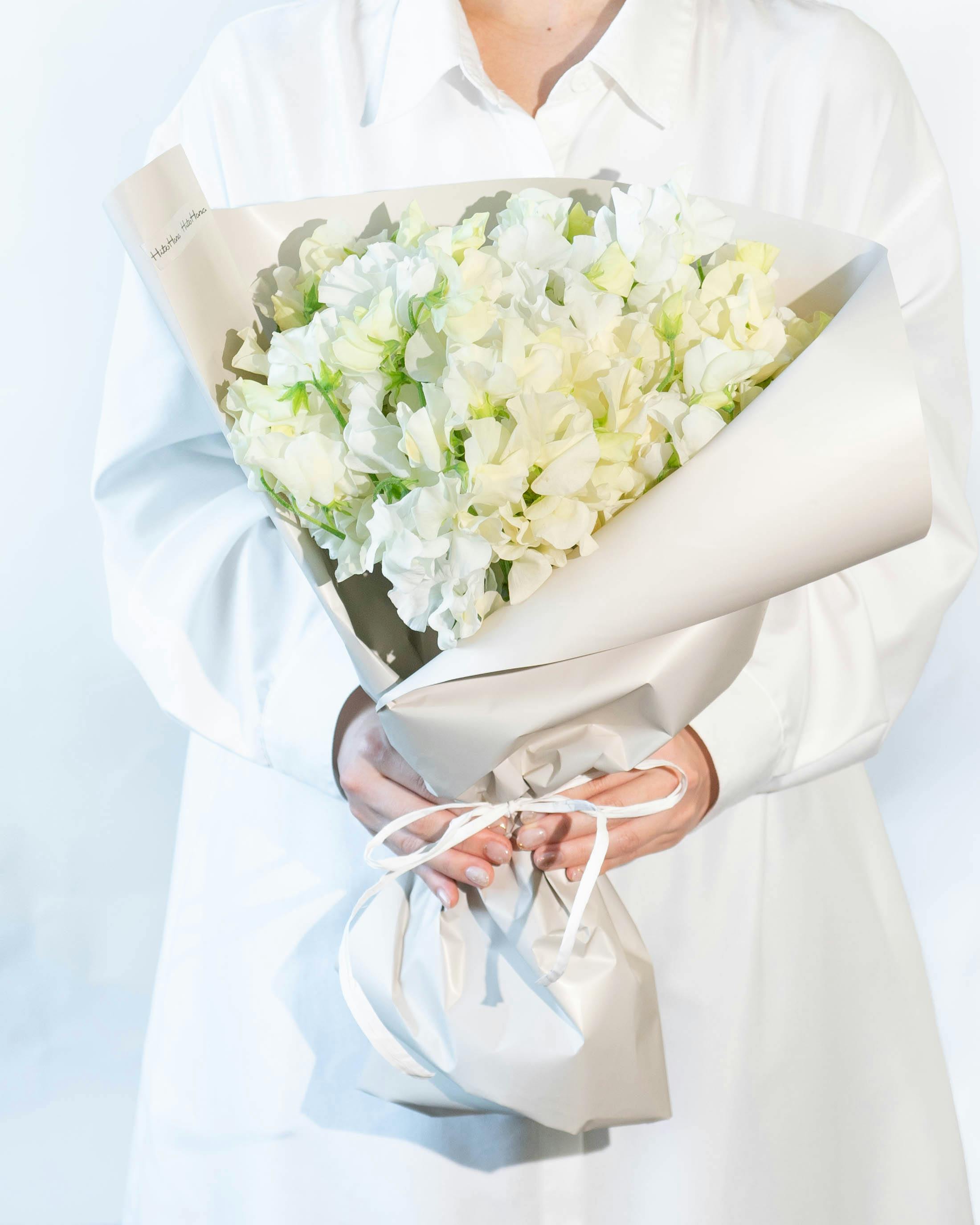 産地直送 スイートピー花束 ホワイトM（50本入り）ギフトラッピング付