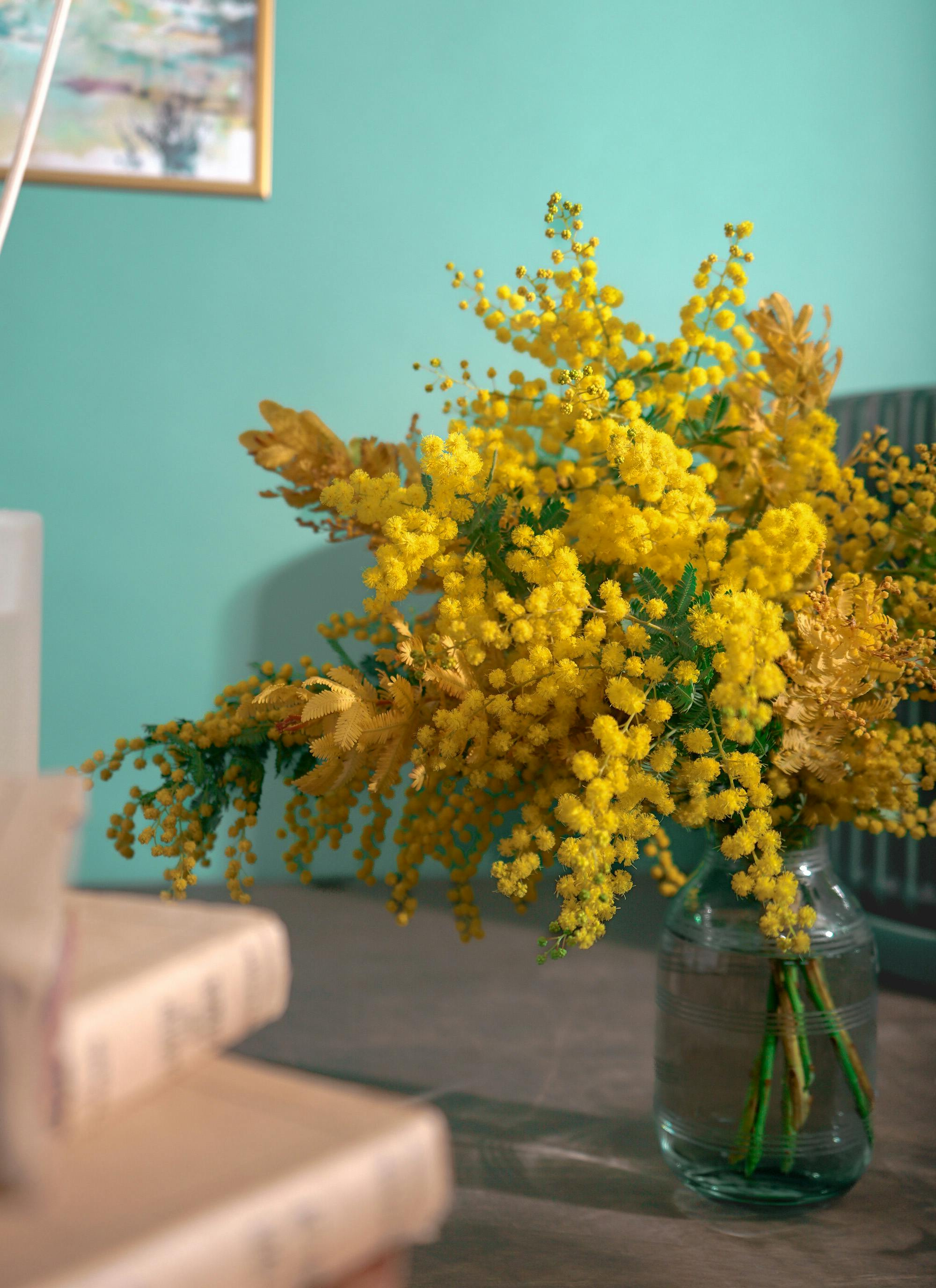 ミモザ 花束 イエロー S | 花束ならHitoHana(ひとはな)