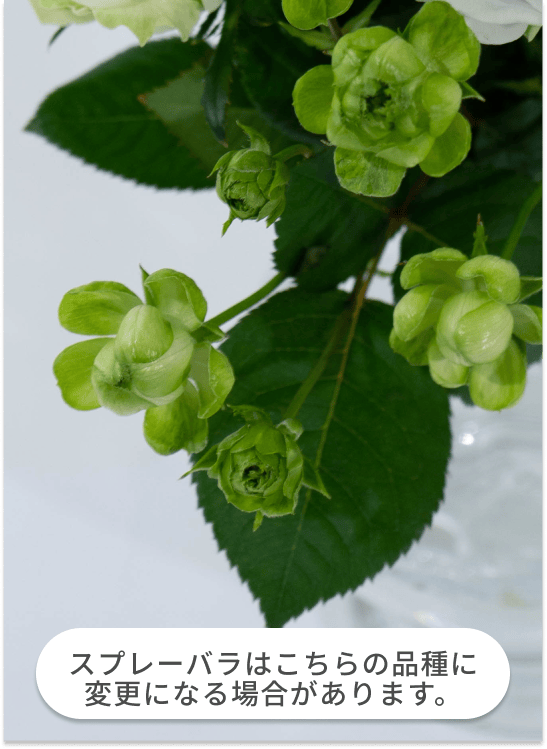 ジャン・クロード・シェネ、バラの花束、希少画集画、新品高級額、額装付、状態良好 小絲源太郎、「花」、希少な額装用画集より、新品高級額装付