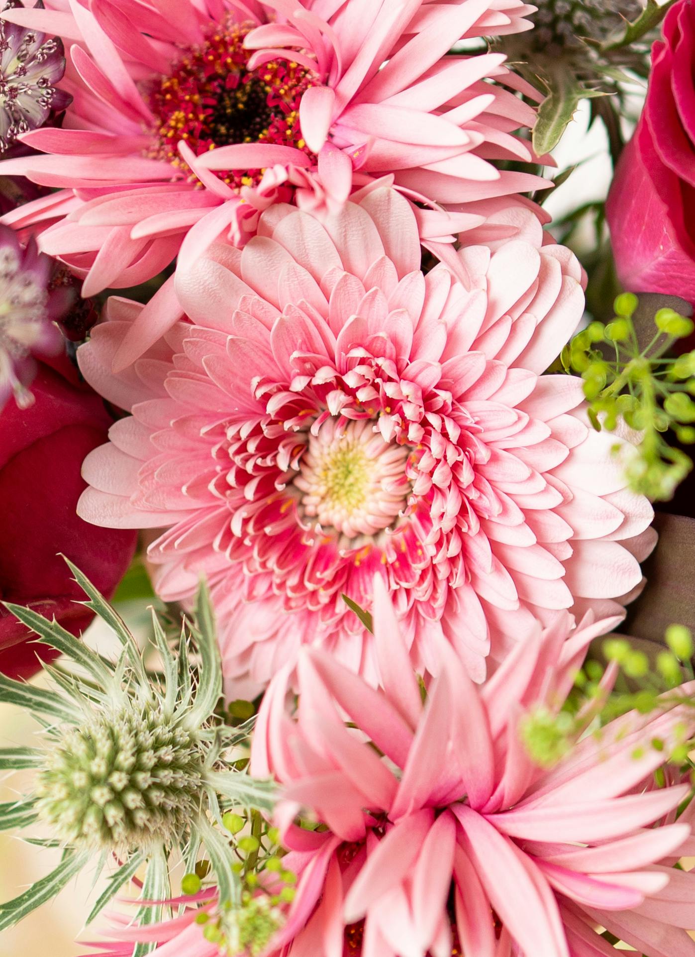 陽春の花束 ガーベラとバラの花束 ピンク M | 花束ならHitoHana(ひとはな)