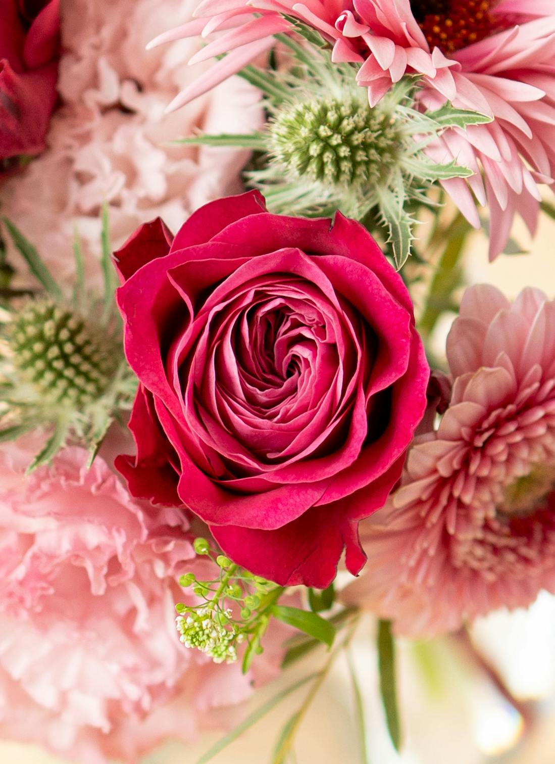 陽春の花束 ガーベラとバラの花束 ピンク S | 花束ならHitoHana(ひとはな)