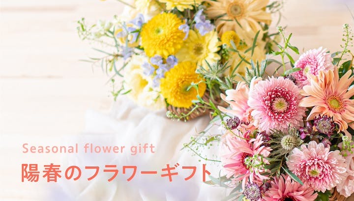 花・フラワーギフトの通販 | HitoHana（ひとはな）