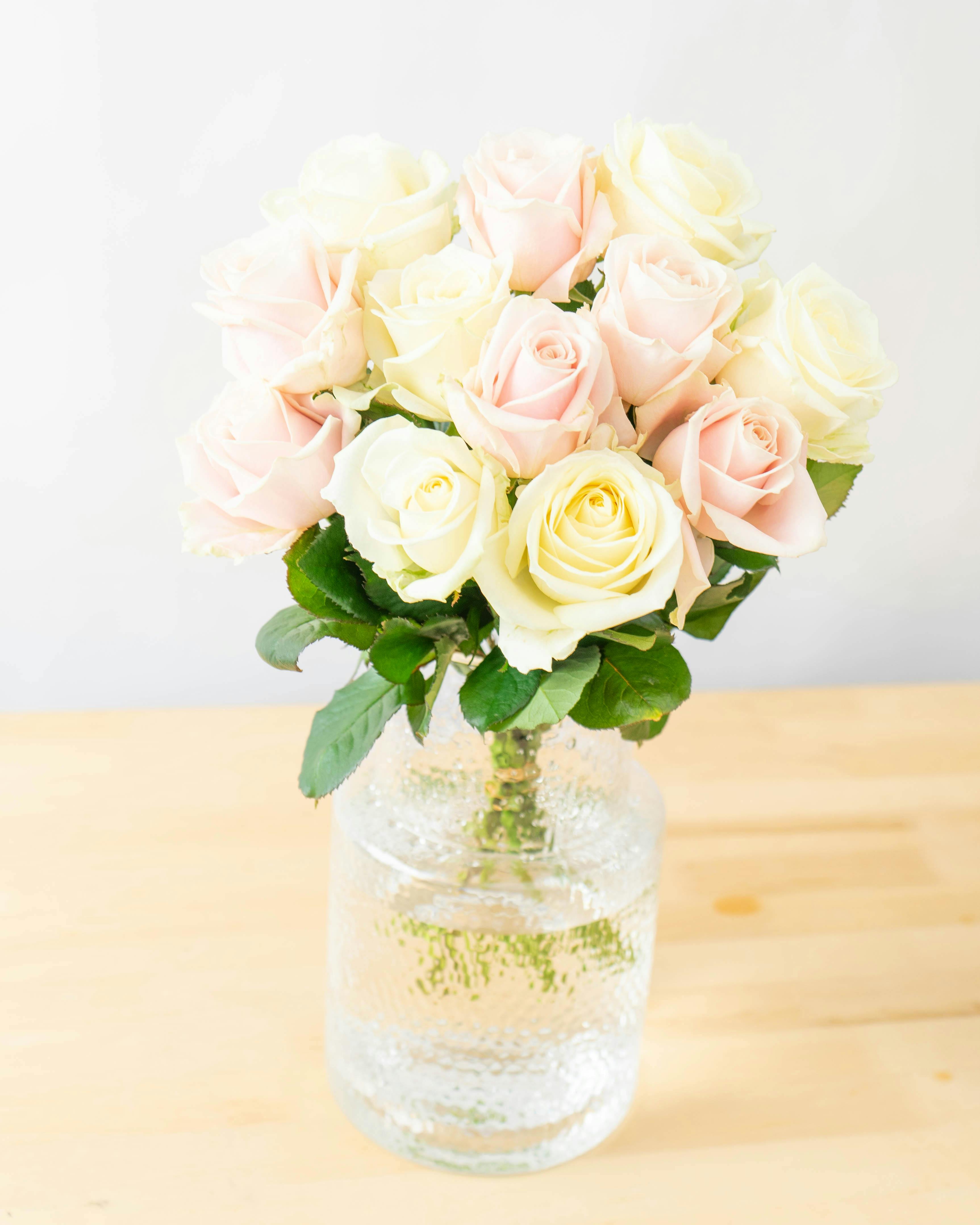 産地直送 バラ アバランチェミックス 12本束／滋賀 國枝バラ園からお