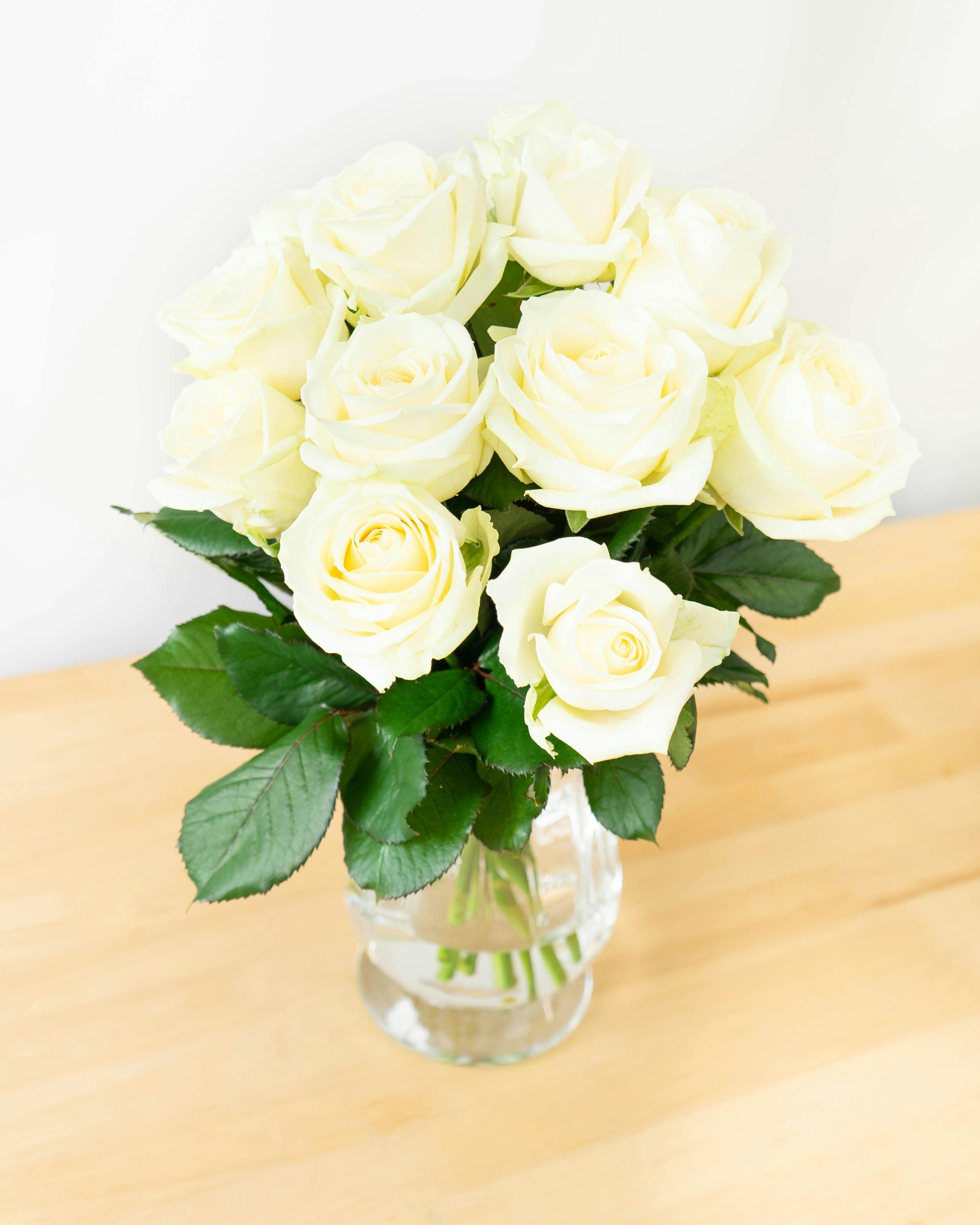 産地直送 バラ アバランチェ 12本束／滋賀 國枝バラ園からお届け