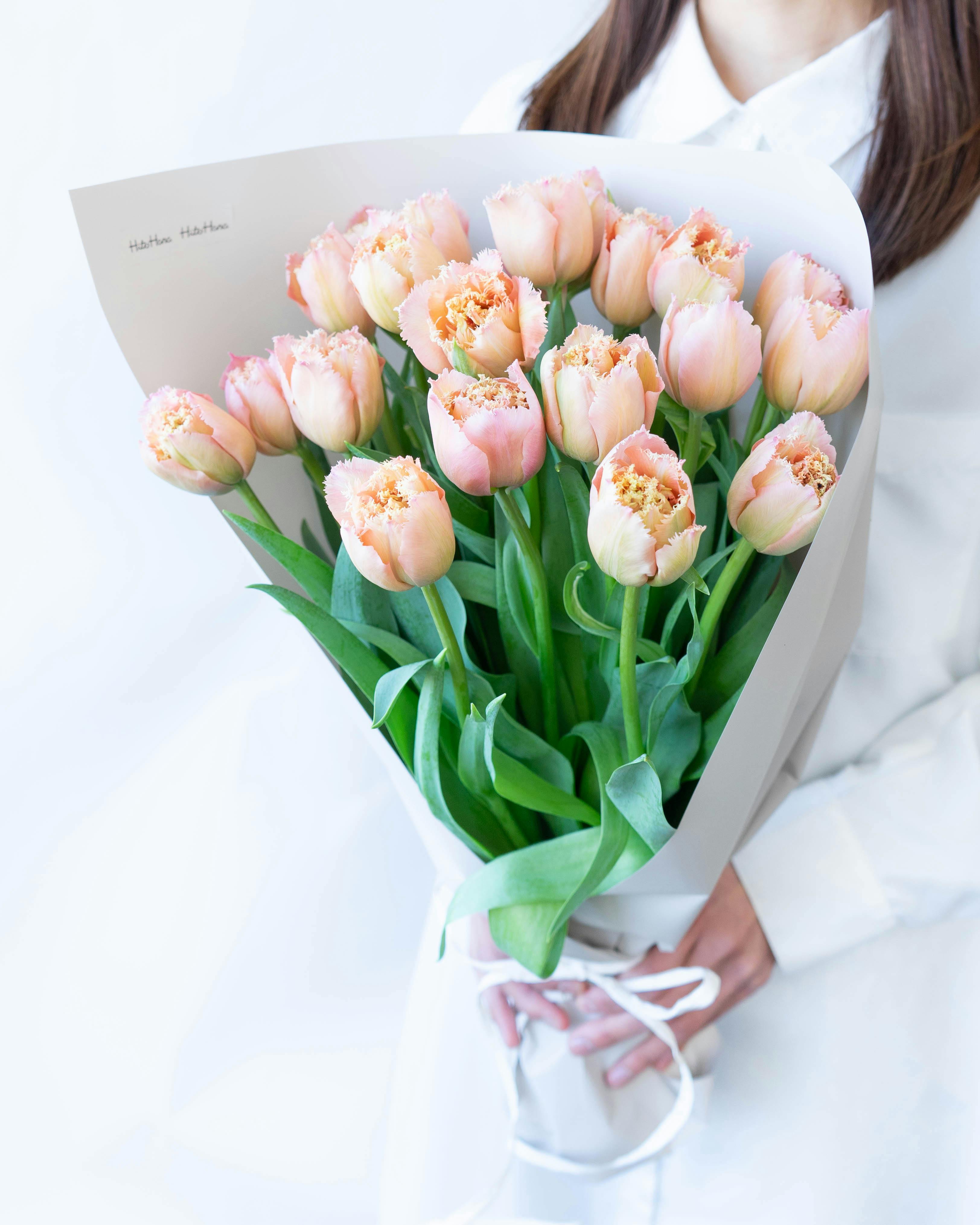 産地直送 チューリップ花束 ピンクマジック（20本入り）／富山 富山県