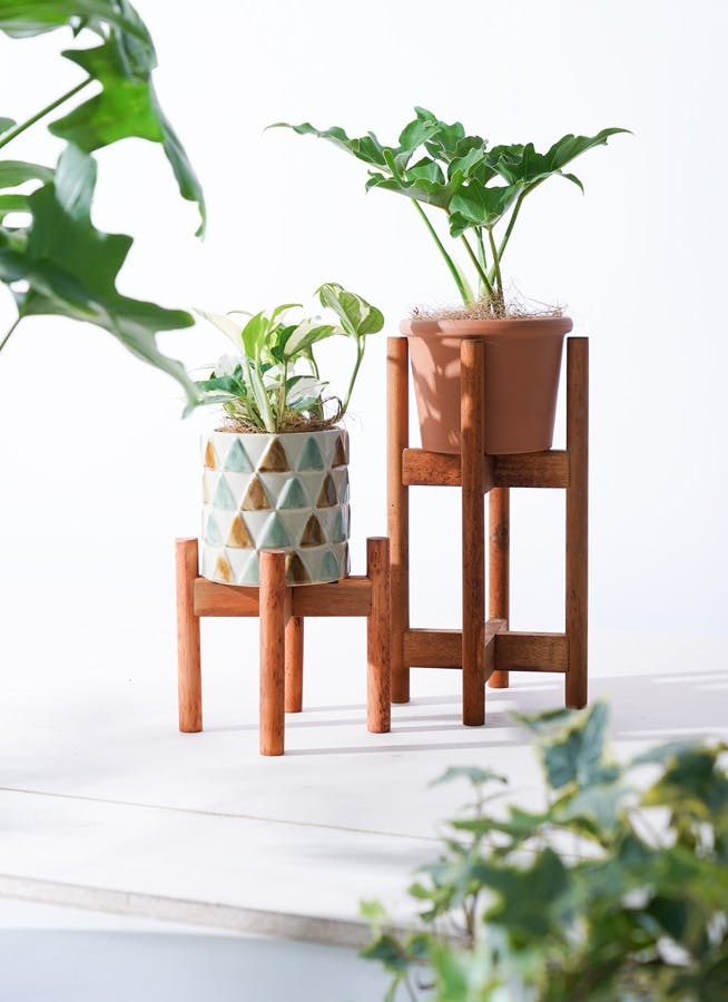 ウッドスタンド ミドル 丸脚 15 #77132 | 観葉植物ならHitoHana(ひとはな)
