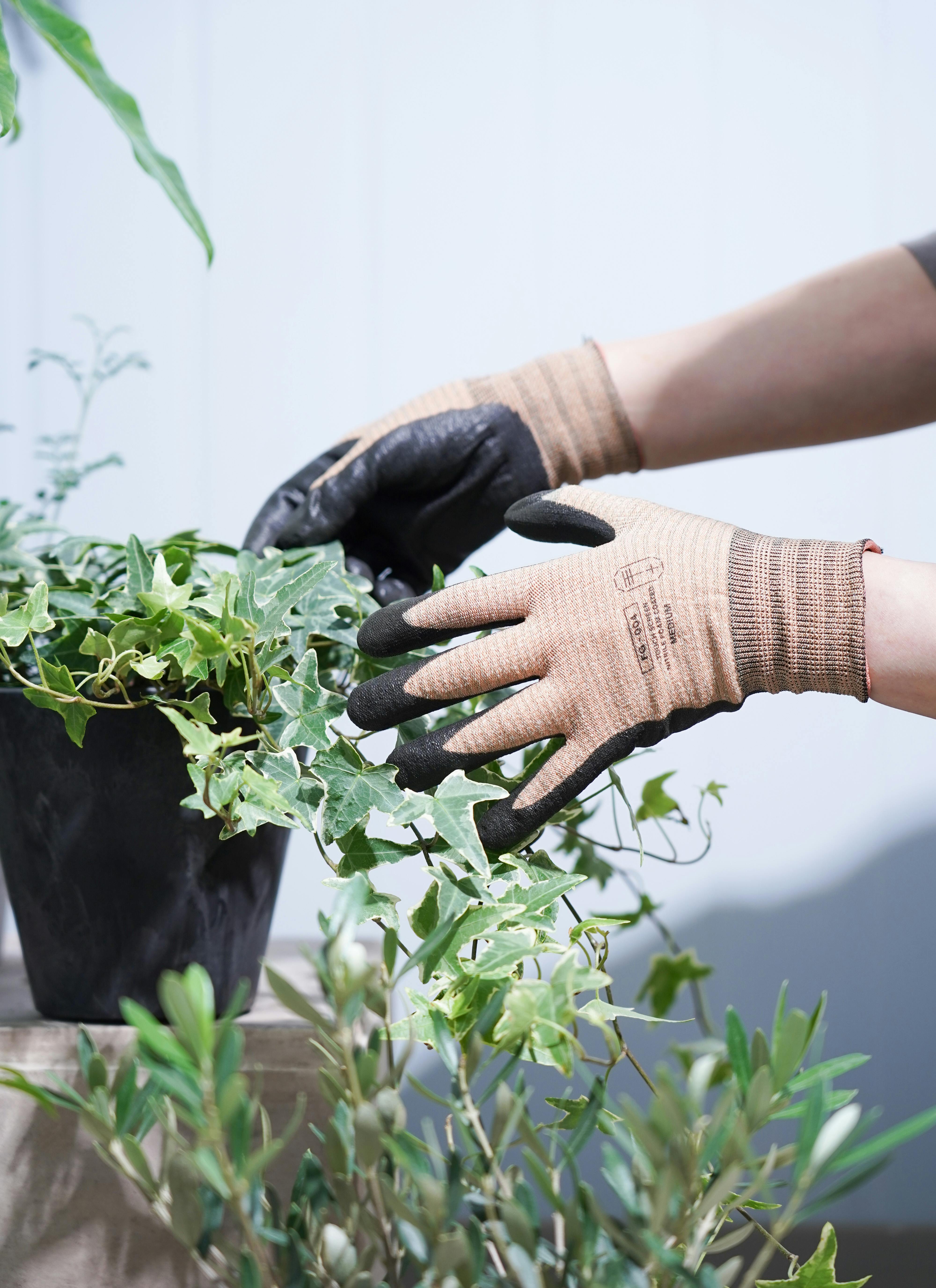 園芸用手袋 te+.（テト）workers gloves camel Mサイズ | 観葉