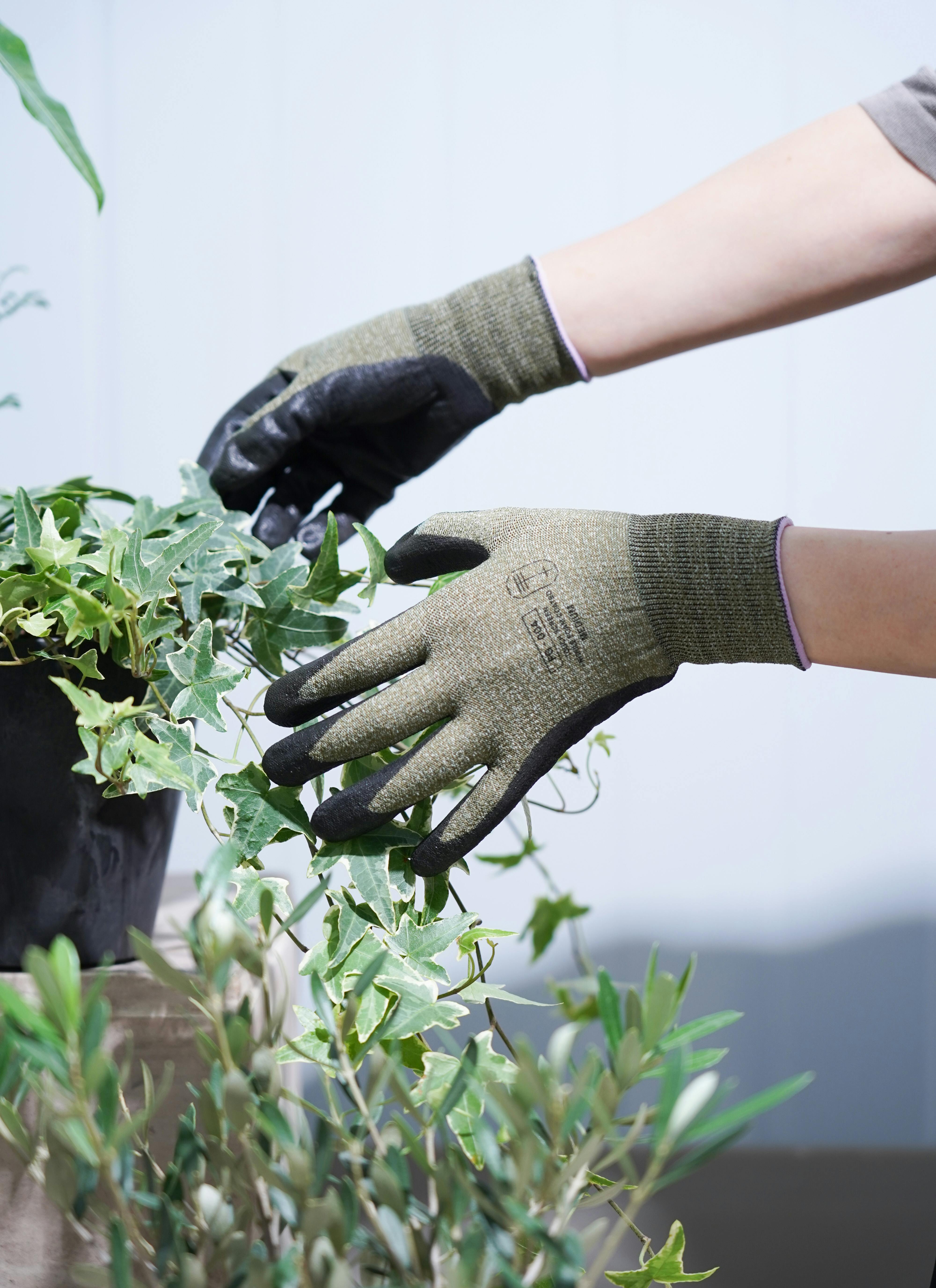園芸用手袋 te+.（テト）workers gloves olive Mサイズ | 観葉植物なら