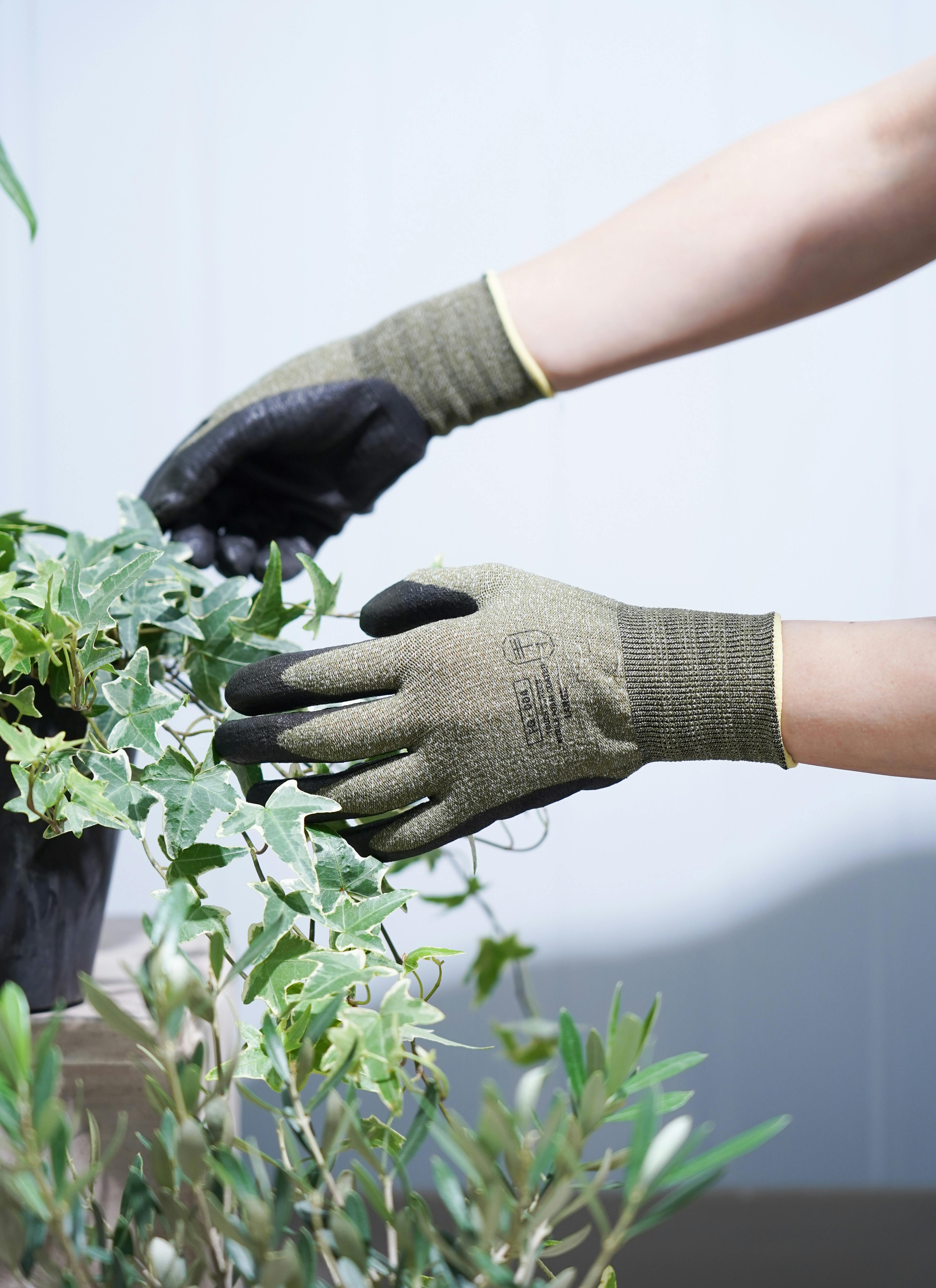 園芸用手袋 te+.（テト）workers gloves olive Lサイズ | 観葉植物なら