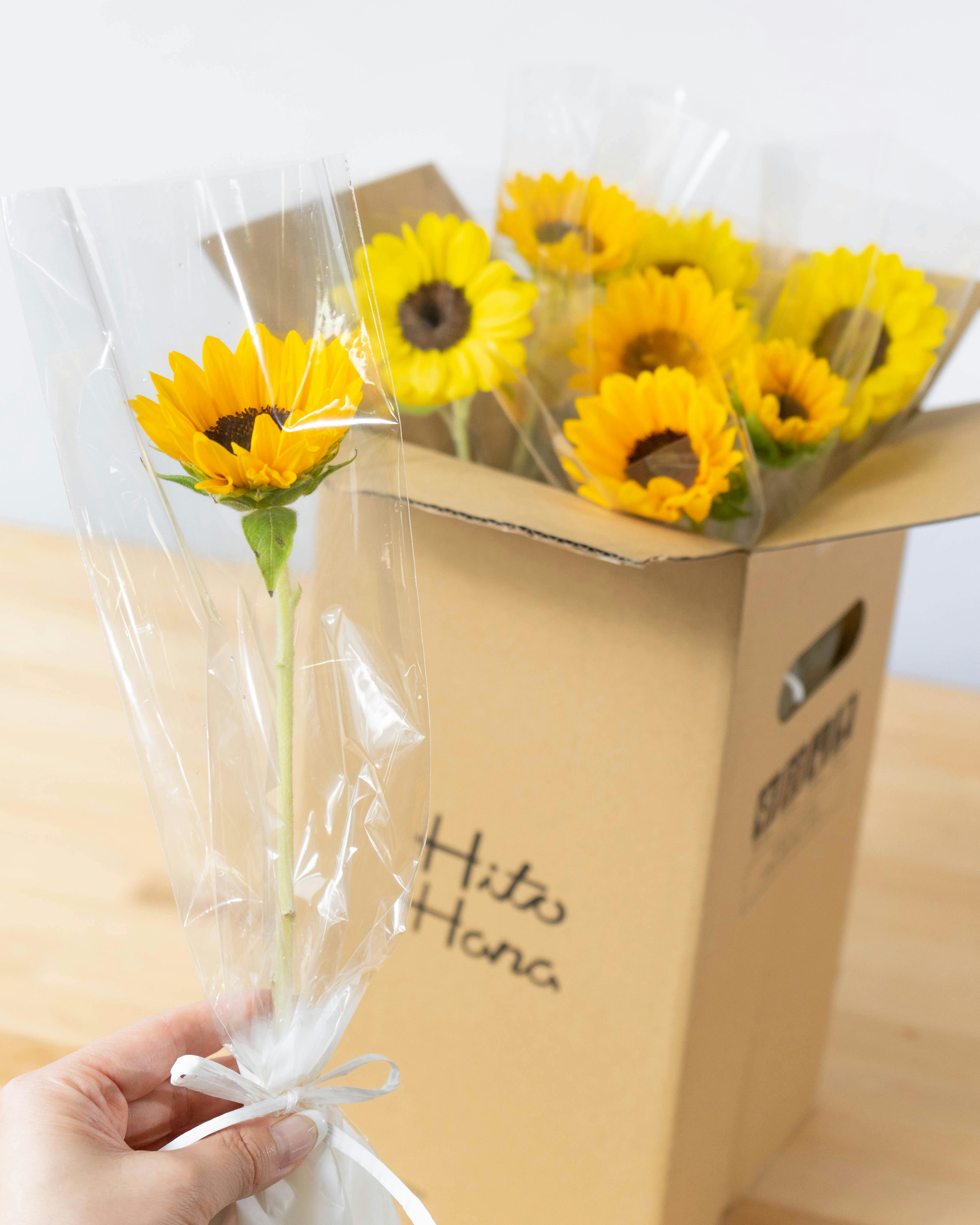 産地直送 ひまわり 1輪 花束 30本用／千葉 金井園芸からお届け