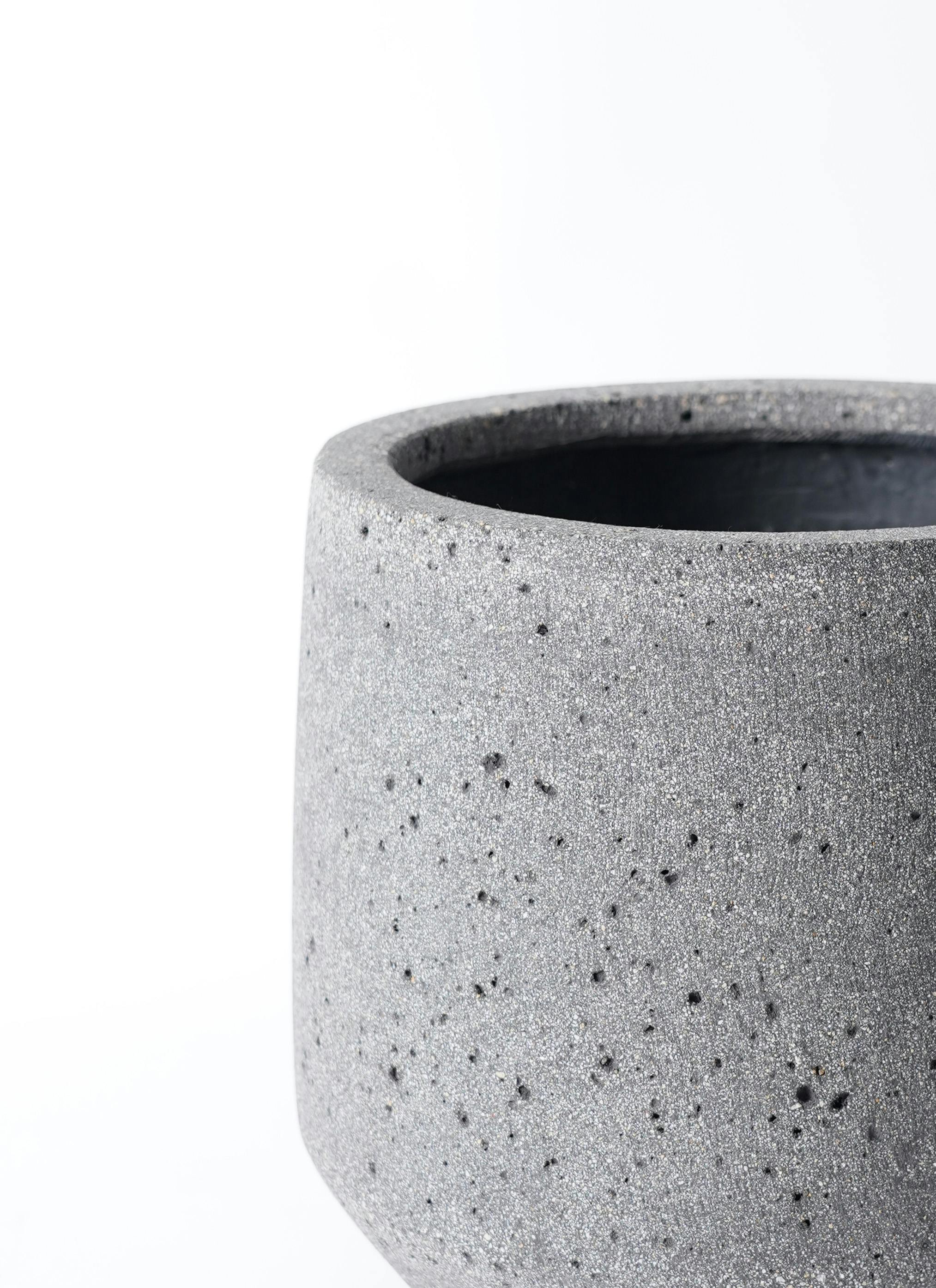 観葉植物 ガジュマル 7号 ストレート パボ ミドル ラテルストーン 付き