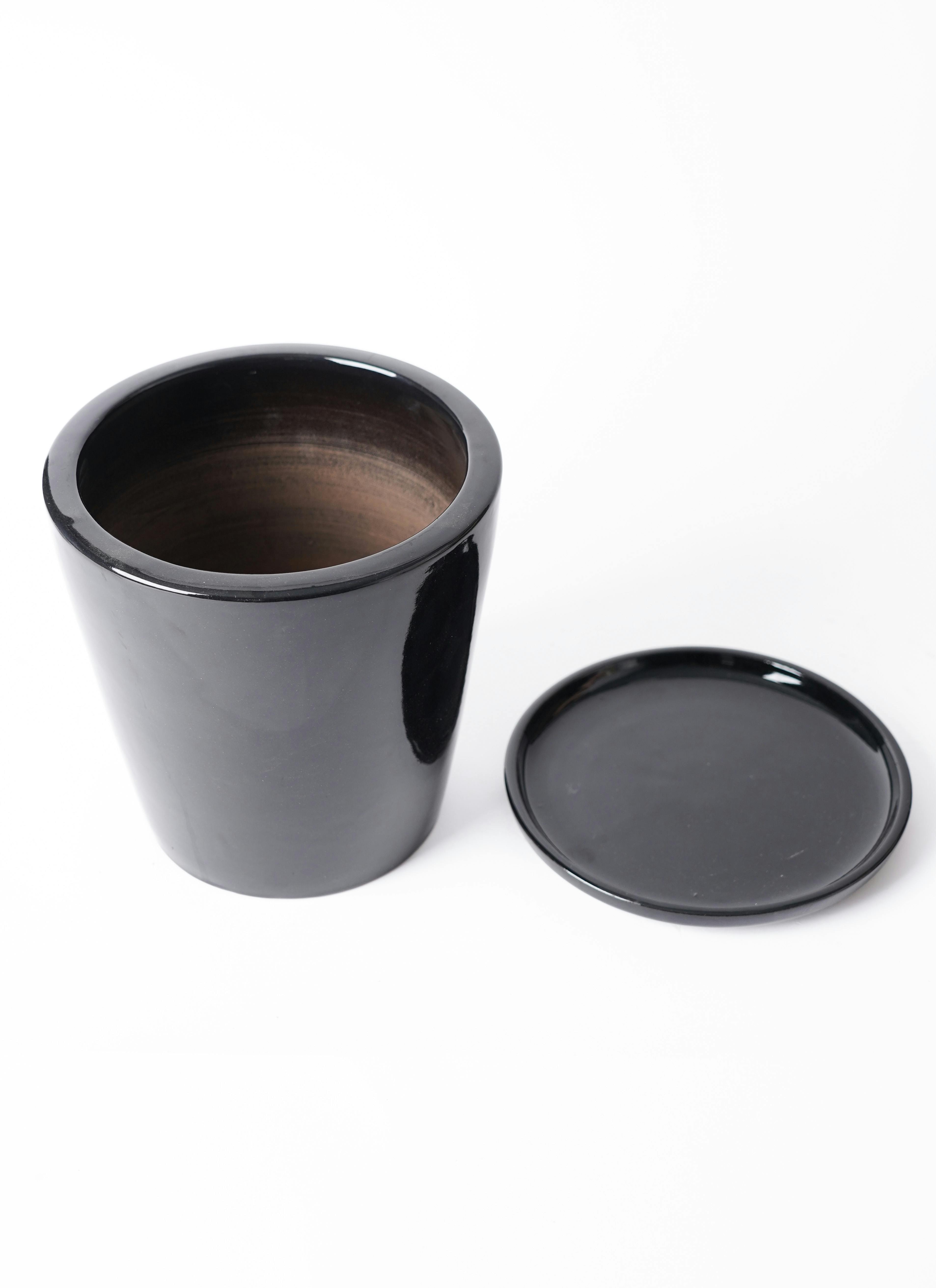 観葉植物 アンスリウム 5号 レッド ビトロ ドーセ ブラック釉