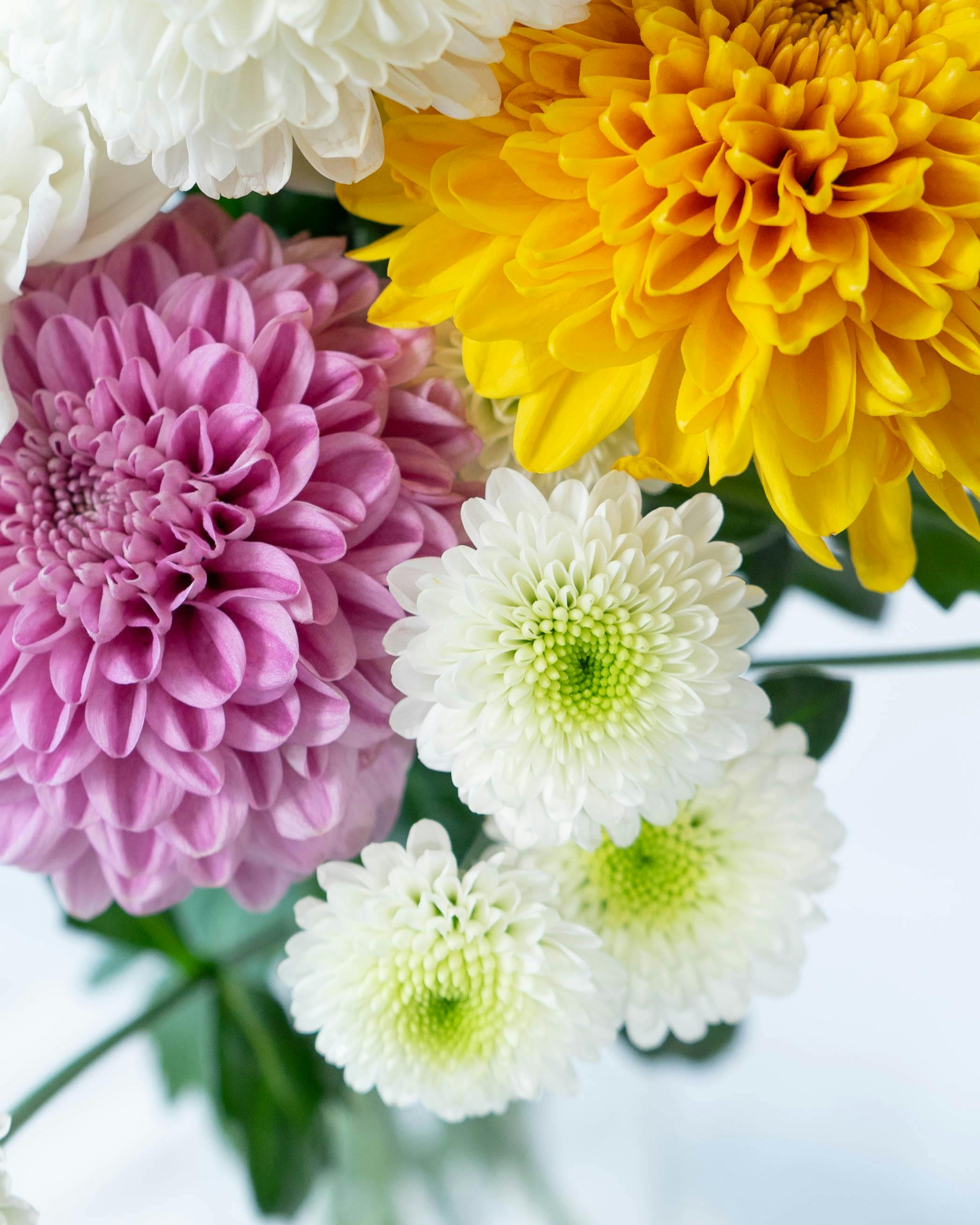 ロマンスの花束 06081715_6664132b5c0b1.png