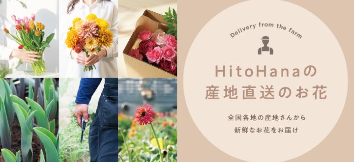 花束・ブーケ | HitoHana（ひとはな）