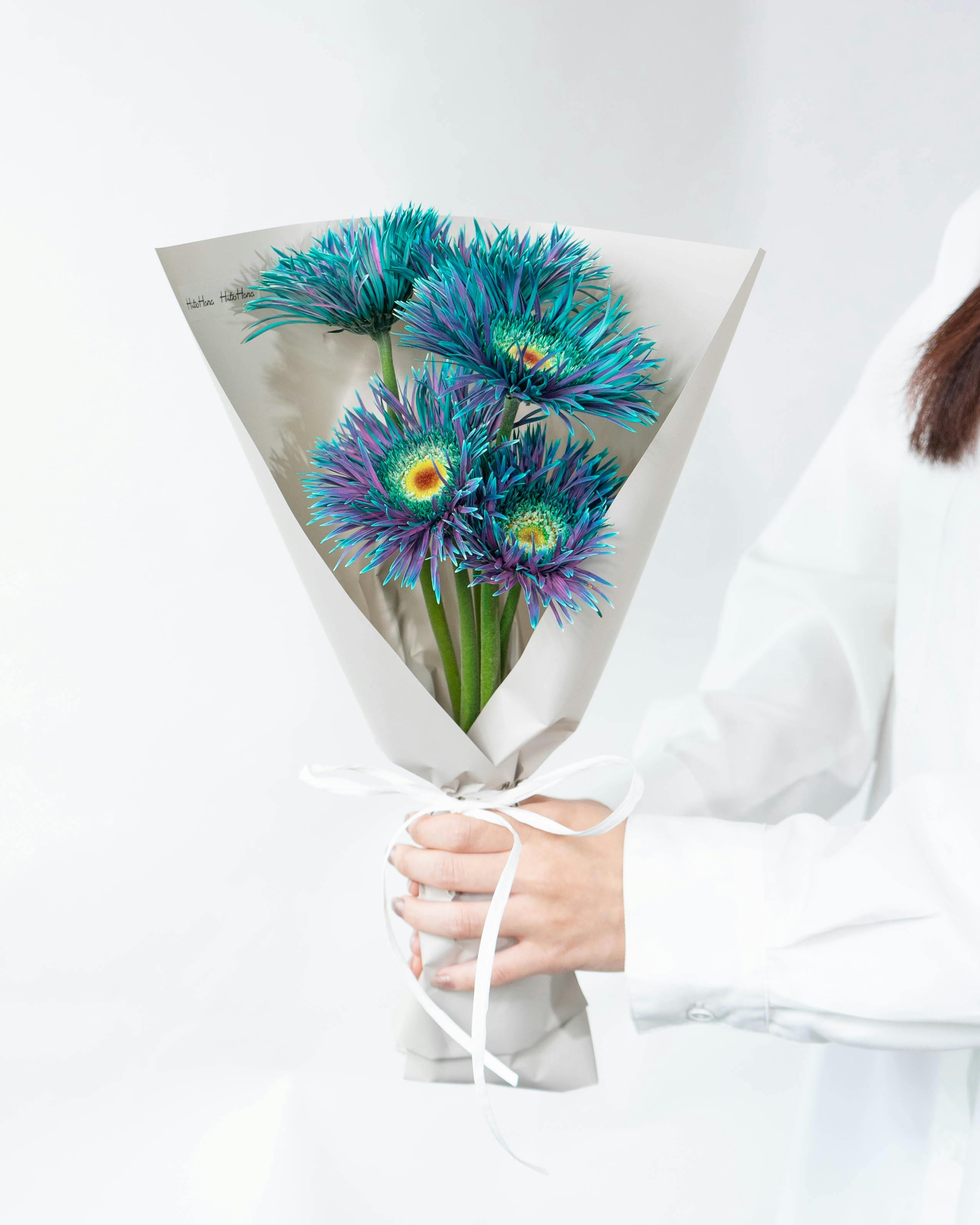 産地直送 ガーベラ 染めブルー ピーコックミント 花束 （5本）／静岡