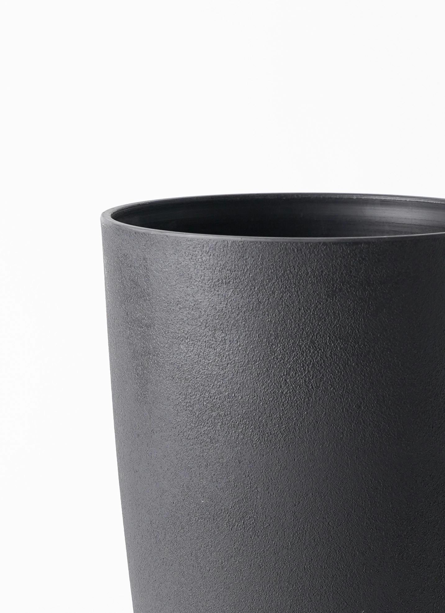 観葉植物 カポック（シェフレラ） 5号 ノーマル フォレスト トール