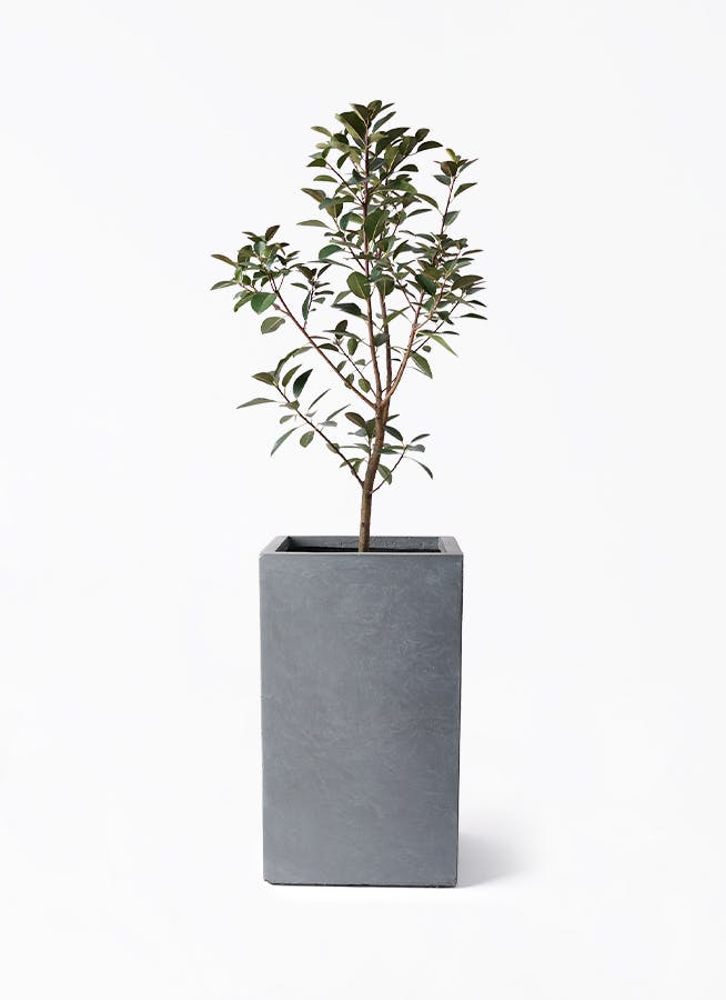 リナ様　ウッドプランターOG-23変更あり リナ様 ウッドプランターOG-23変更あり