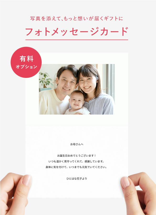 フローリストにおまかせ 季節の花束 5,500円 | 花束ならHitoHana(ひとはな)