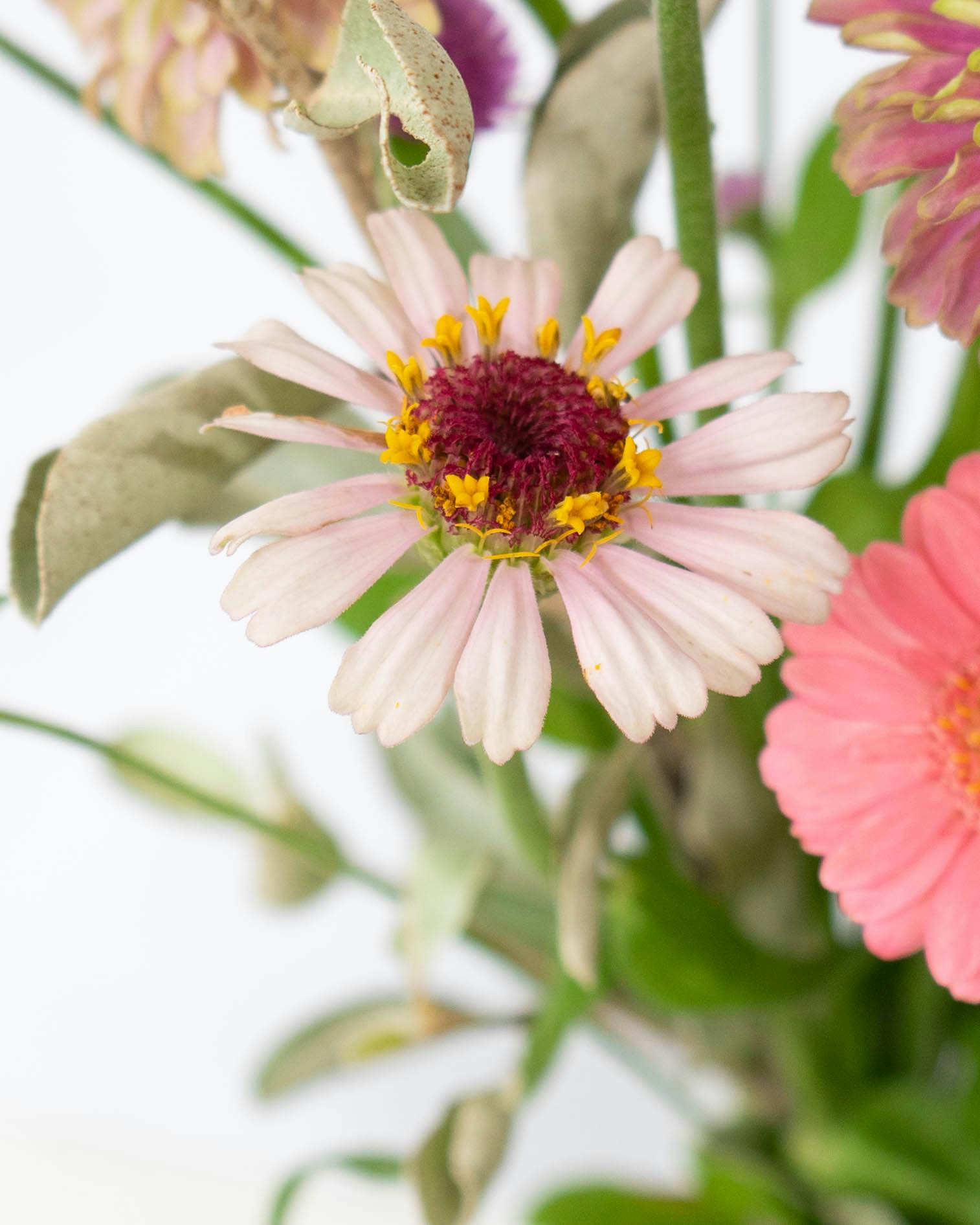 M size ボタニカルフラワー イエロー　ピンク NTT西日本】テレワーク対応多機能ビジネスフォンシステム