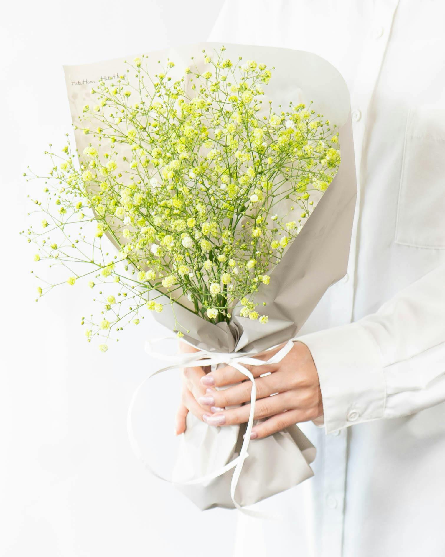 ✨お得MIX【A】フォルモーサ ブルニア プロテア かすみ草 生花 ドライ やす 