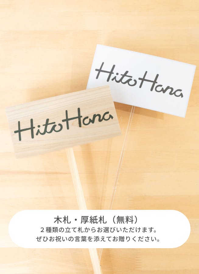 お祝い花 季節の豪華アレンジメント フローリストにおまかせ 22,000円 スタンダード | アレンジメントならHitoHana(ひとはな)