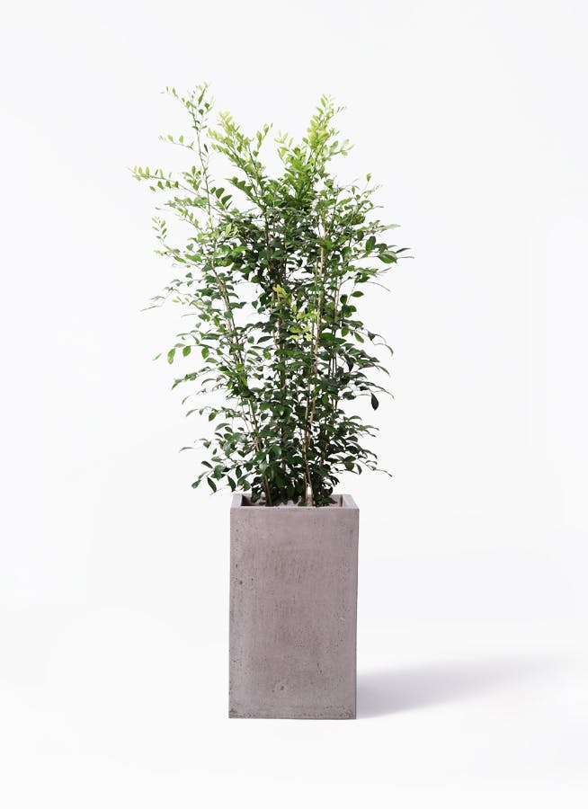 なばな様・専用出品② COTTON RIB X LEATHER SWEATER｜JUNYA WATANABE MAN｜TOPS